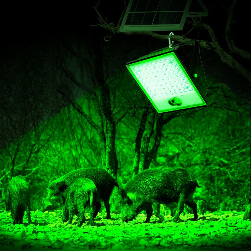 Solar Green Floodlight for Night Hunting