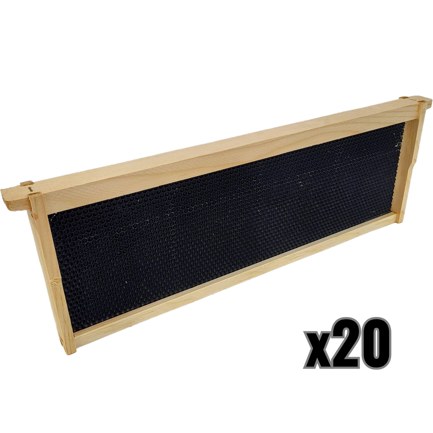Medium 6 1/4-Inch Frame, Grooved Top / Grooved Bottom With Double Wax Foundation