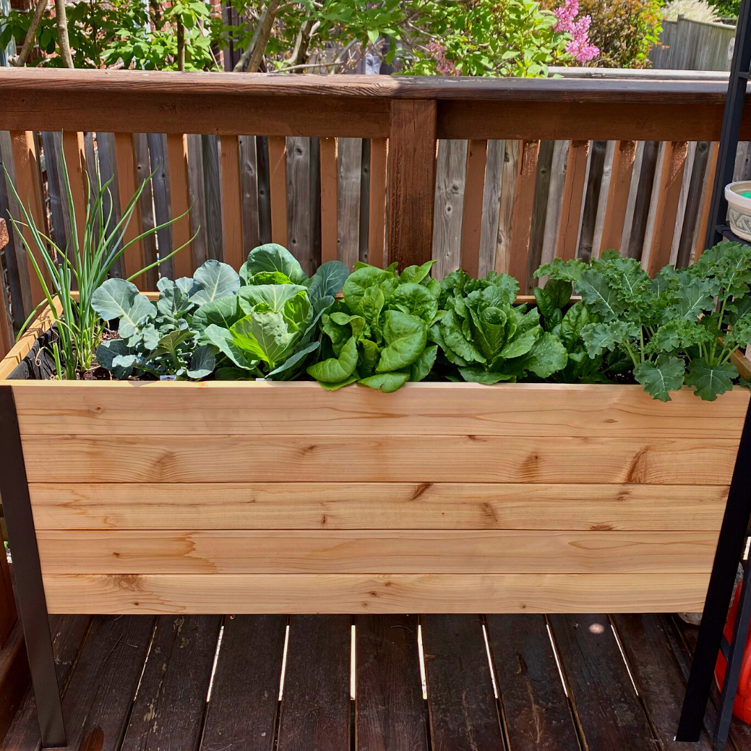 18" x 48" Raised Garden Bed - 30" TALL / Select Grade