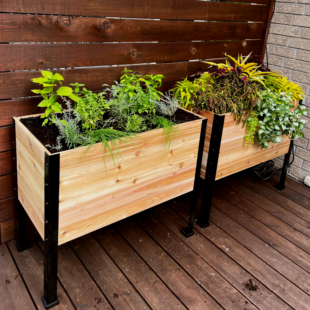 18" x 36" Raised Garden Bed - 30" TALL / Select Grade