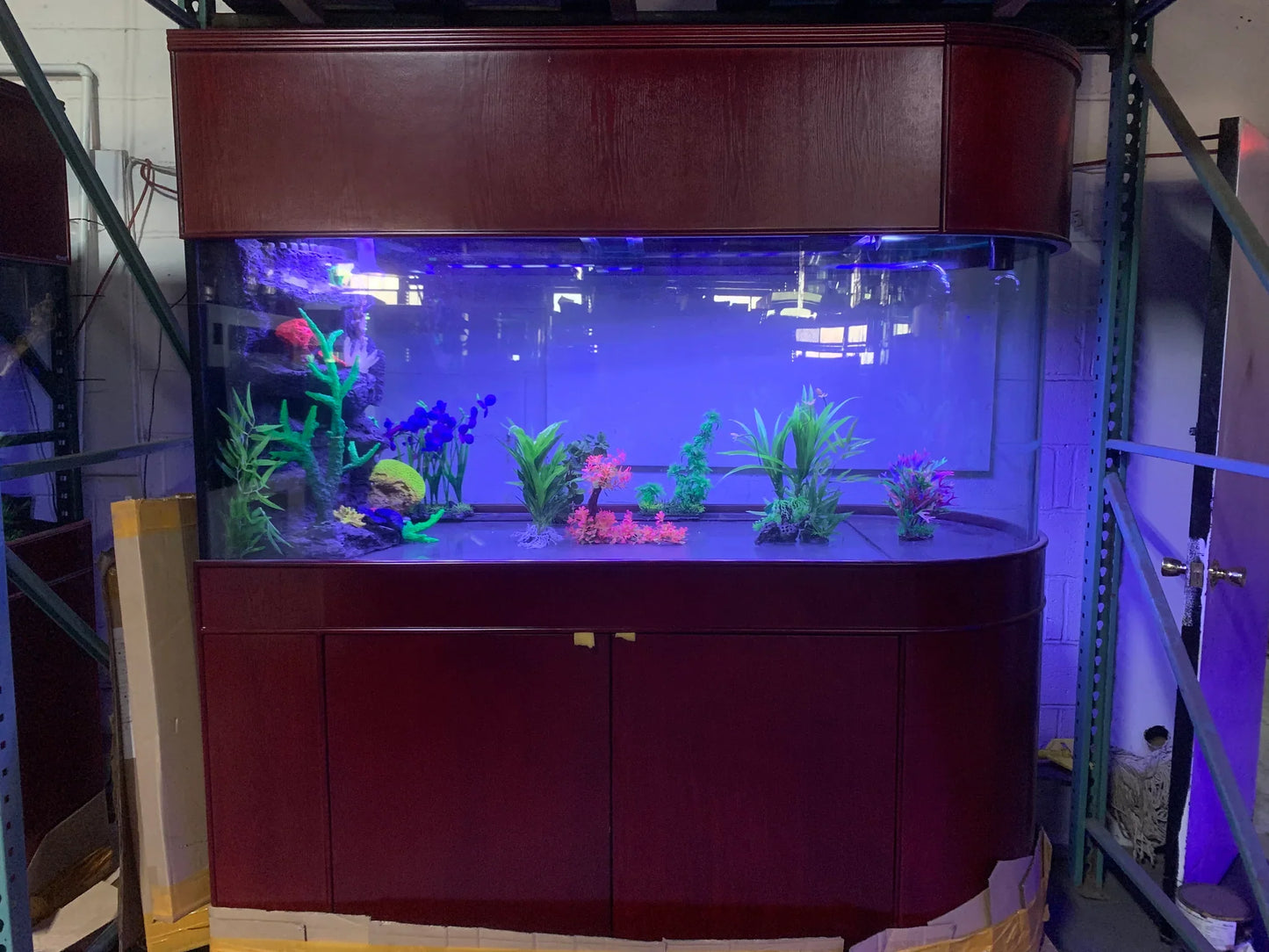 120 Gallon U-Shape Bullnose Peninsula Divider Glass Aquarium Reef-Ready in Rose Cherry Real Wood Furniture