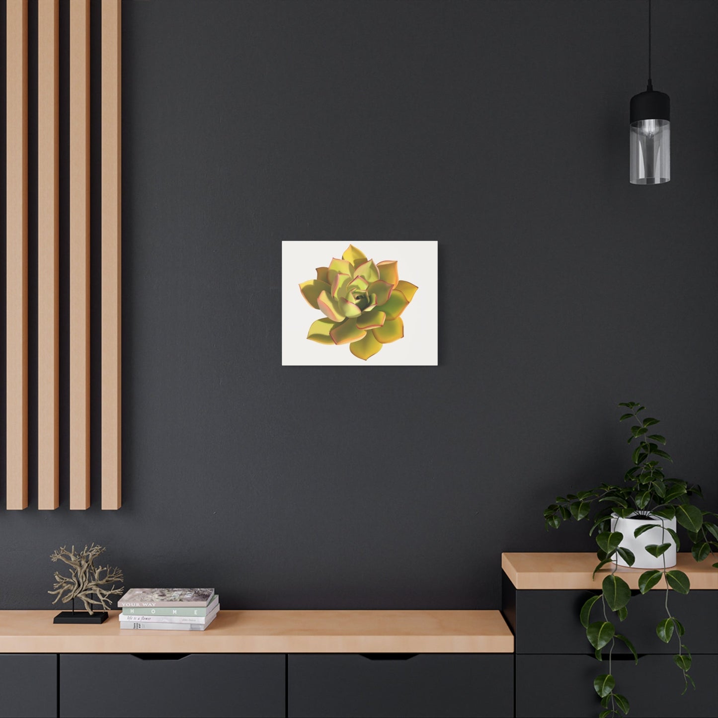 Noble Aeonium Succulent Canvas Print – Botanical Wall Art