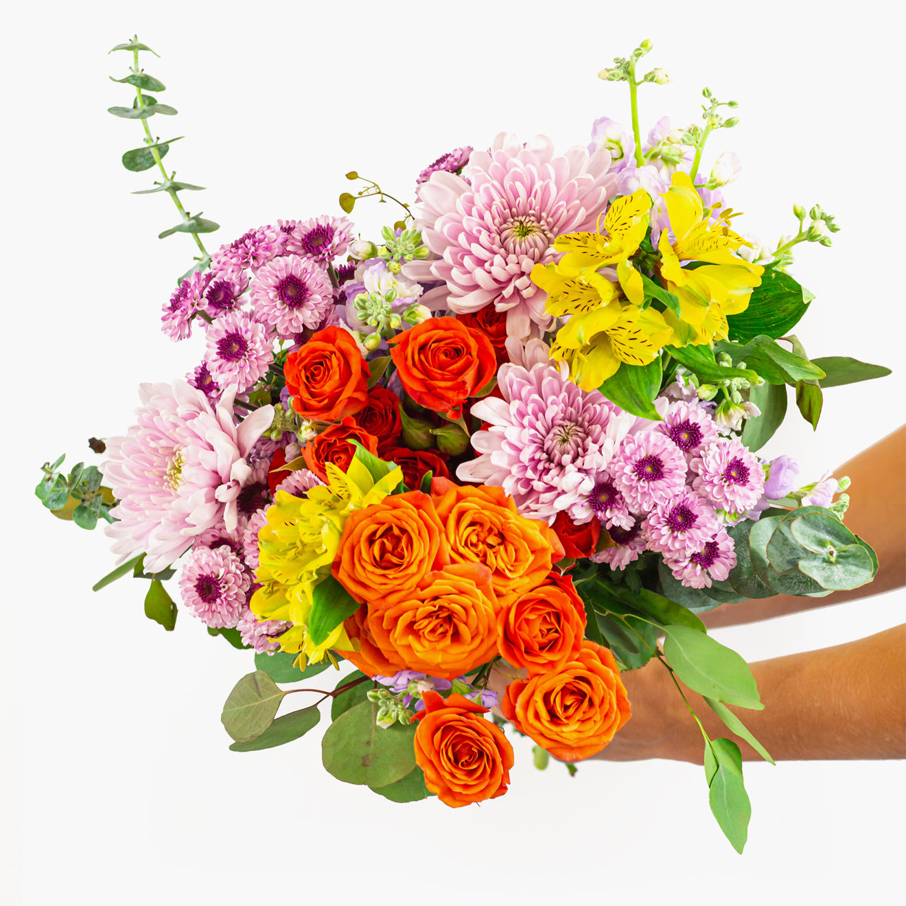 Radiant Blooms