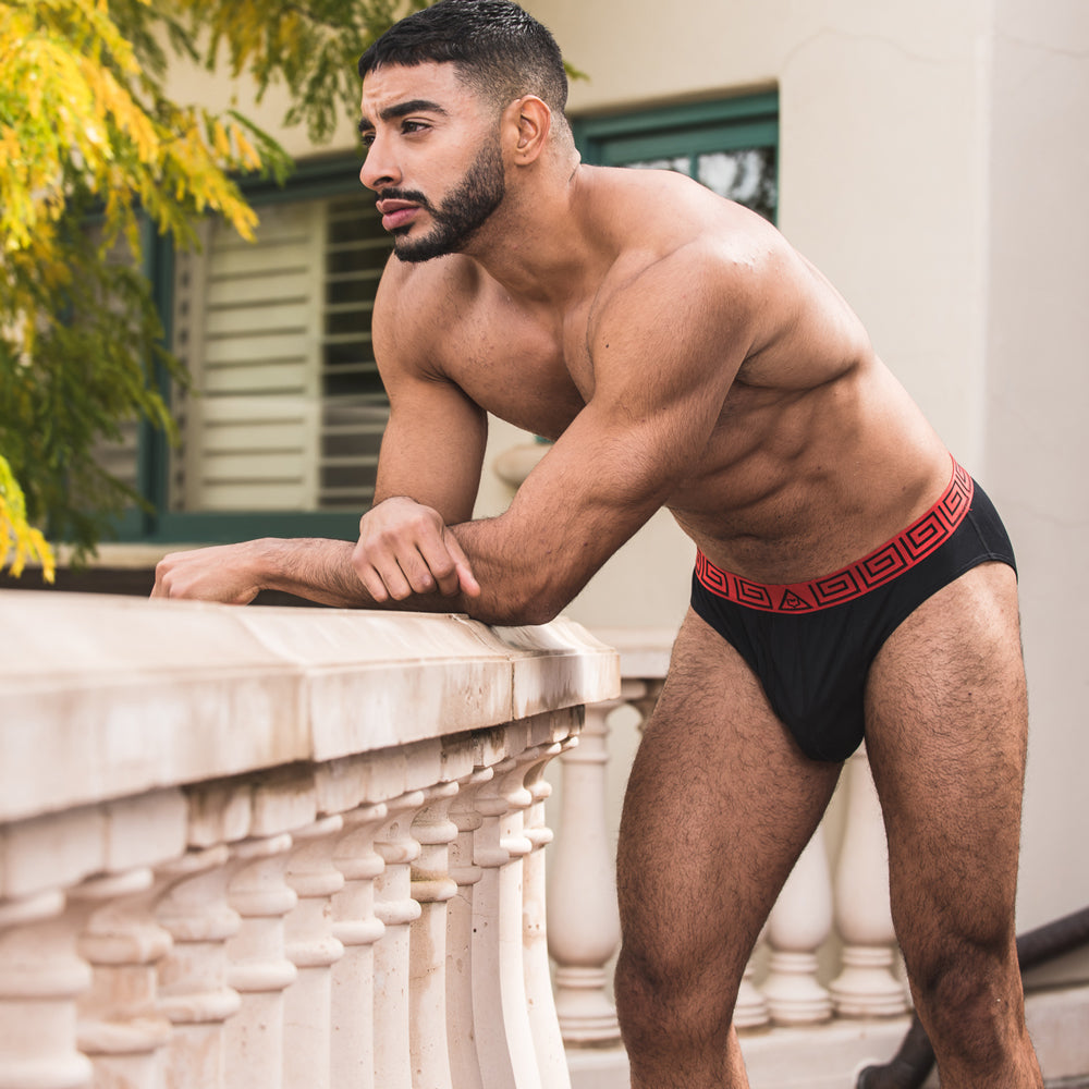 SHEATH Men's Dual Pouch Euro Briefs