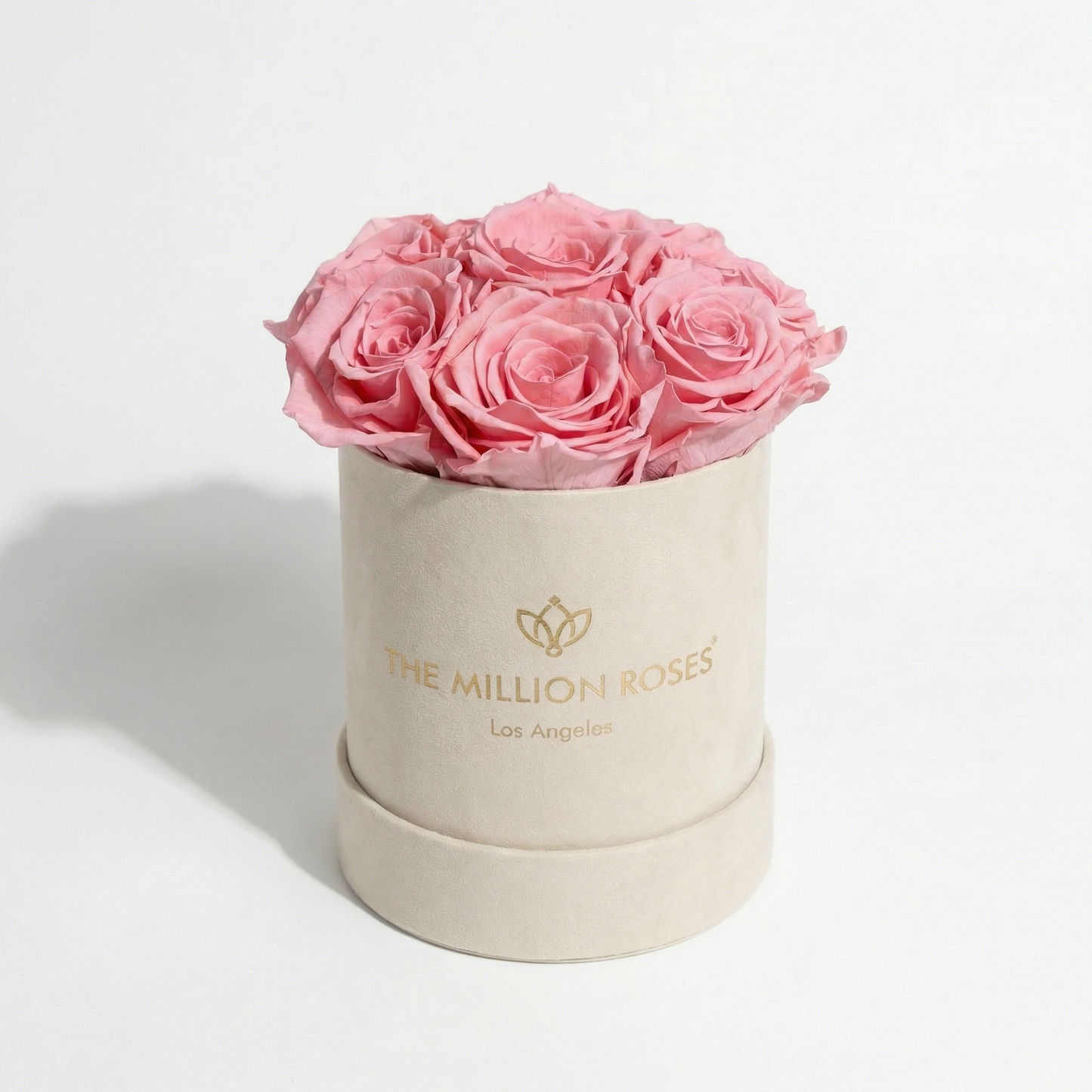 Essence Beige Suede Box | Light Pink Roses