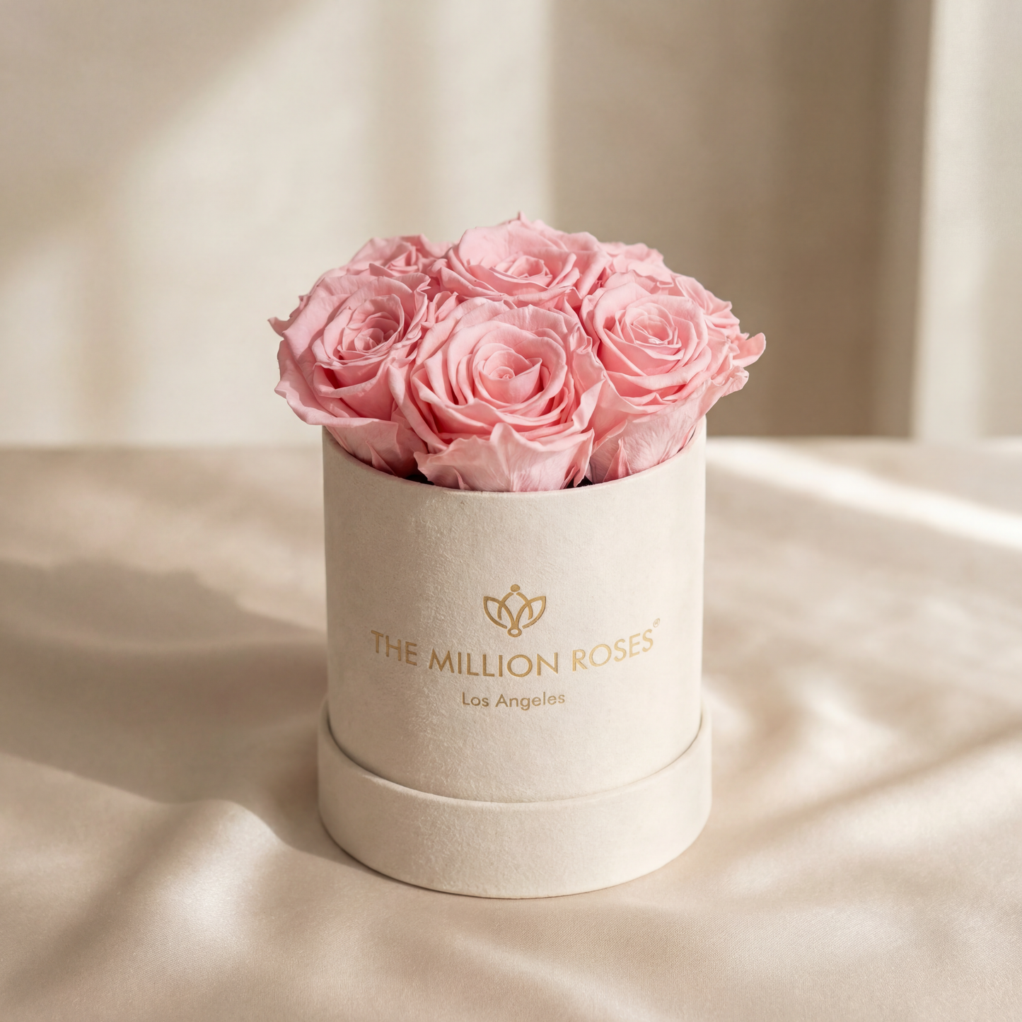 Essence Beige Suede Box | Light Pink Roses