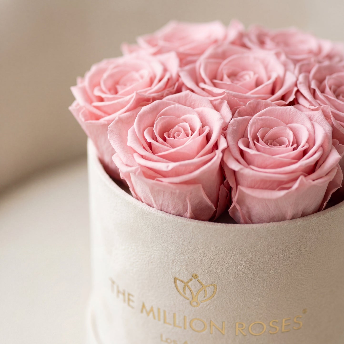 Essence Beige Suede Box | Light Pink Roses