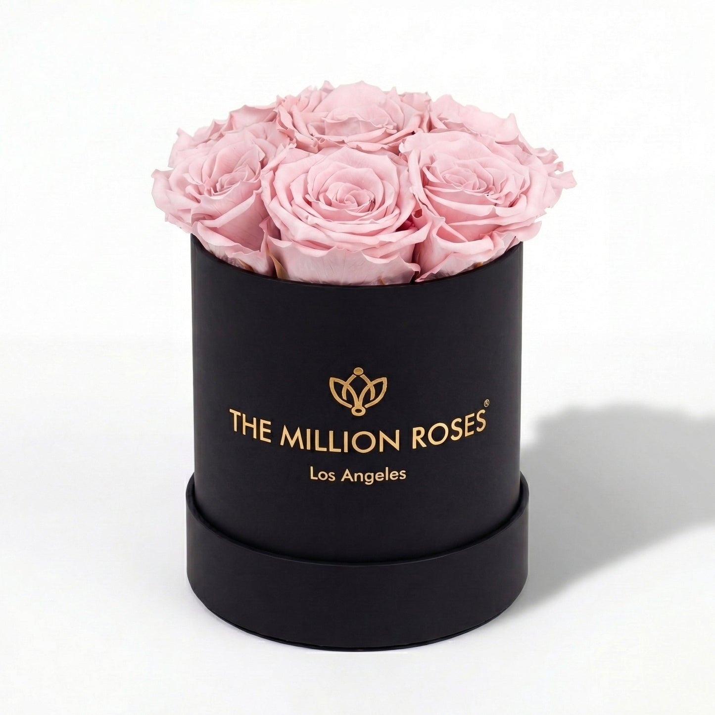 Essence Black Box | Light Pink Roses