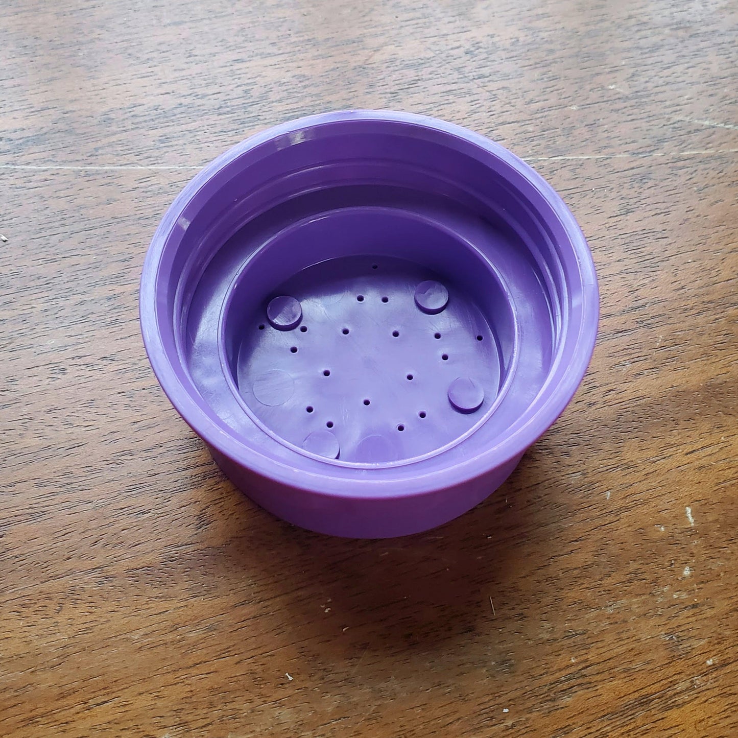 Bee Bar Lid