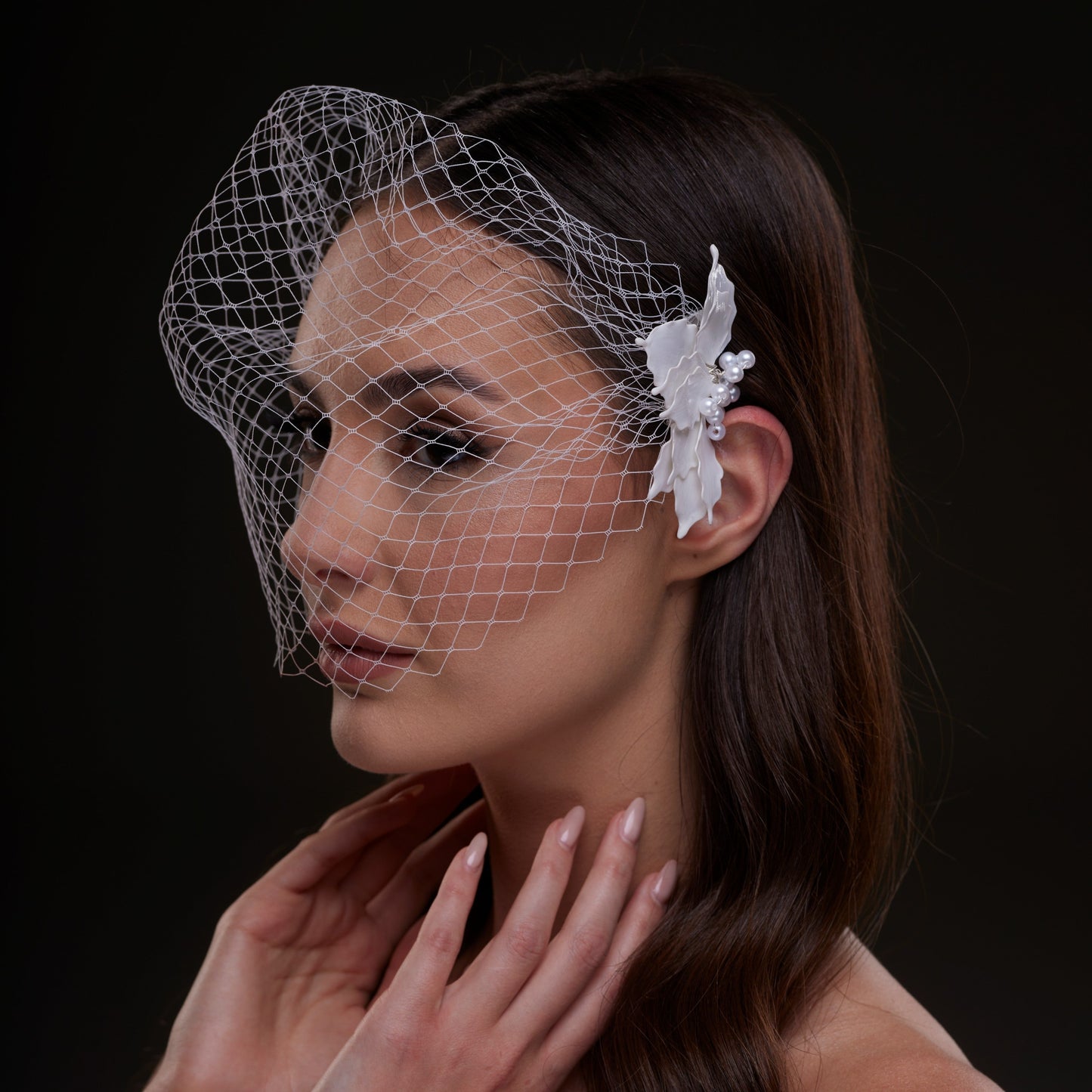 Bridal Birdcage Veil with Pearl & Leaf Side Comb
