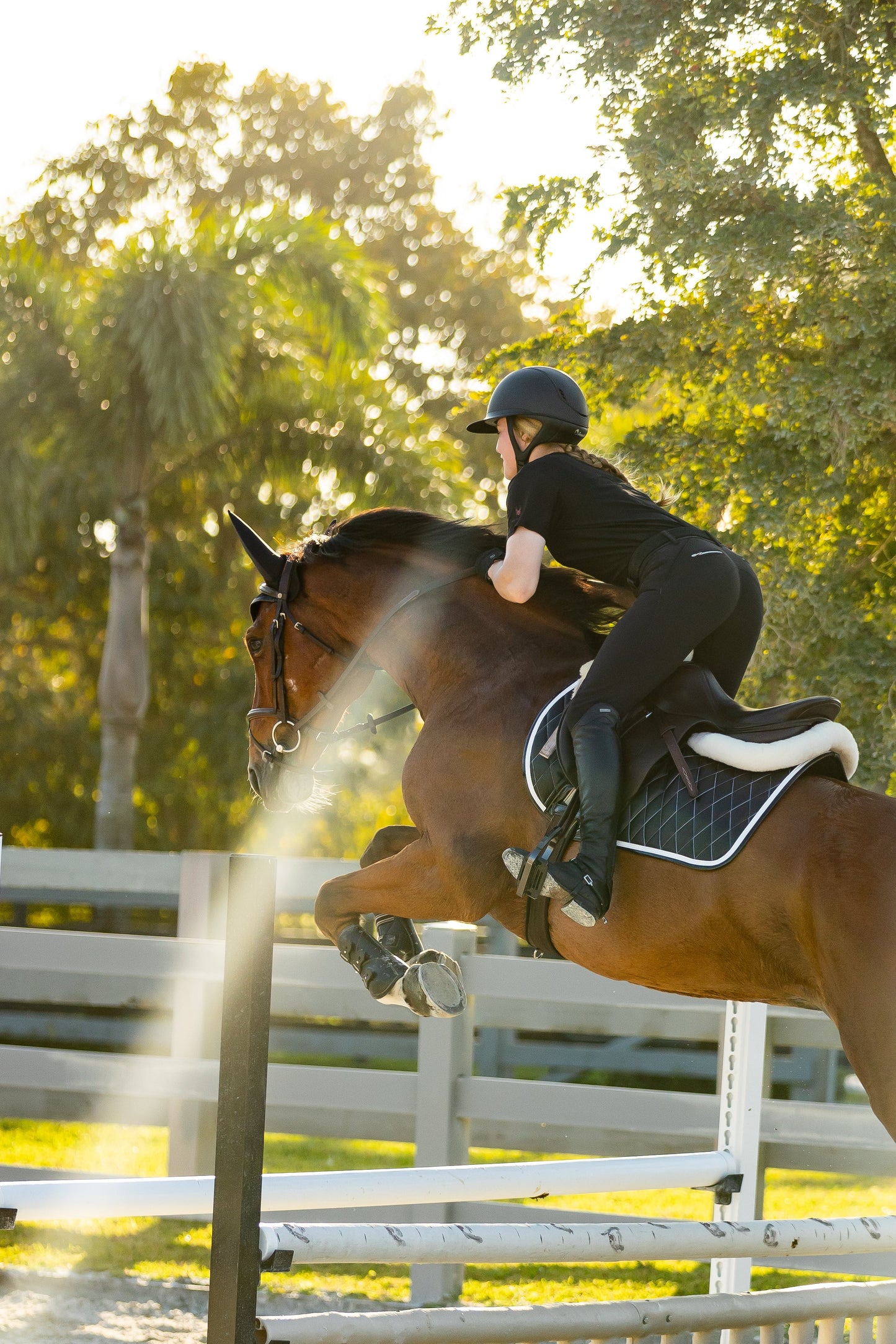 Jump Saddle Pad | Black