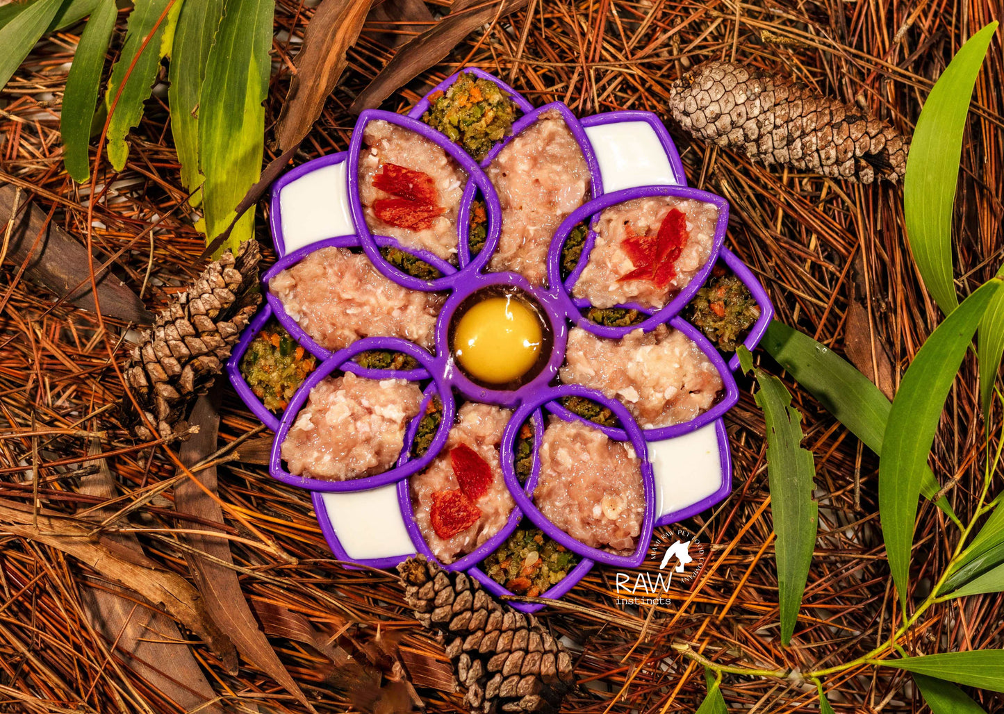 Raw Chicken & Turkey Meal Blend for Cats & Dogs — Prey Model Raw | Raw Instincts Florida