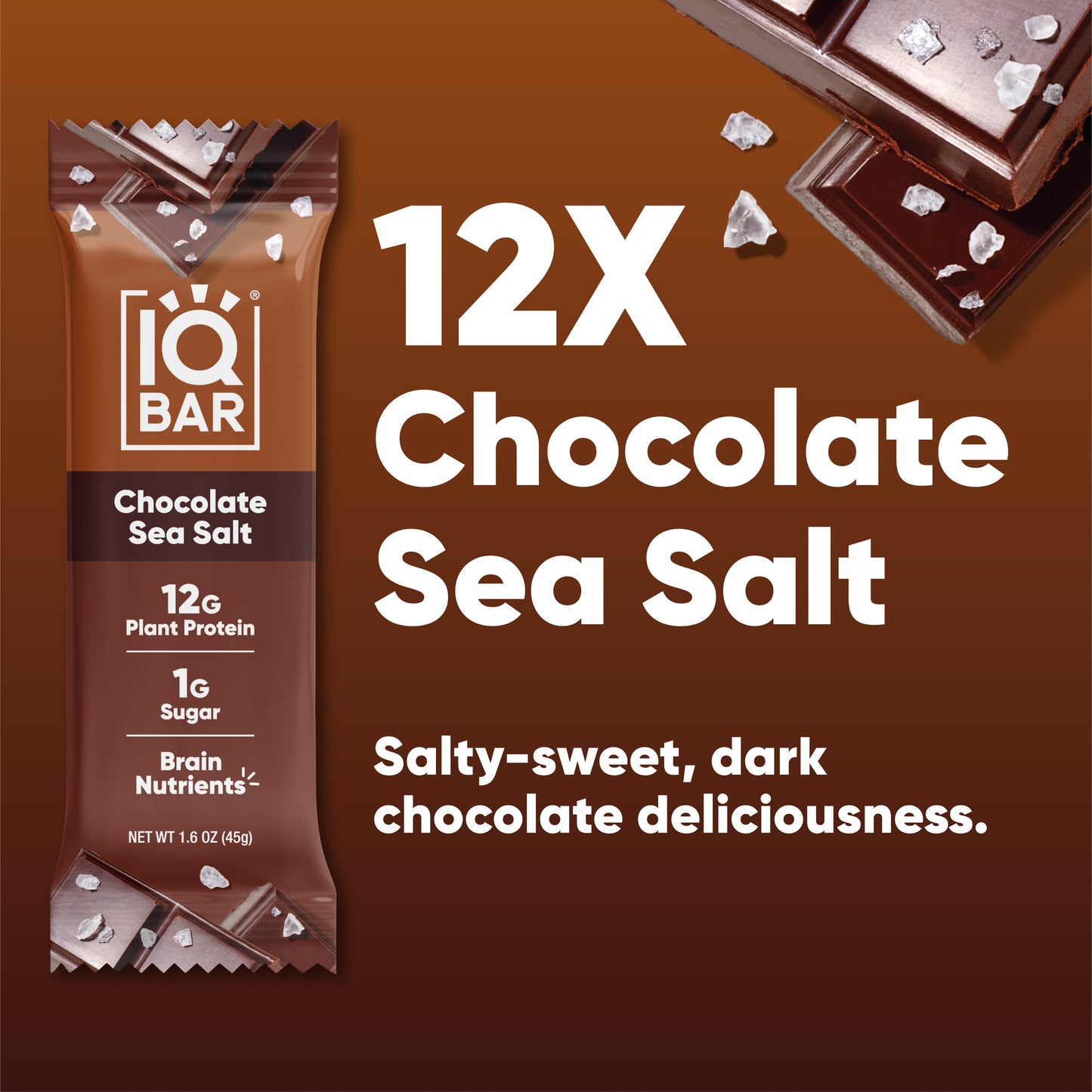 Chocolate Sea Salt (12 Bars)