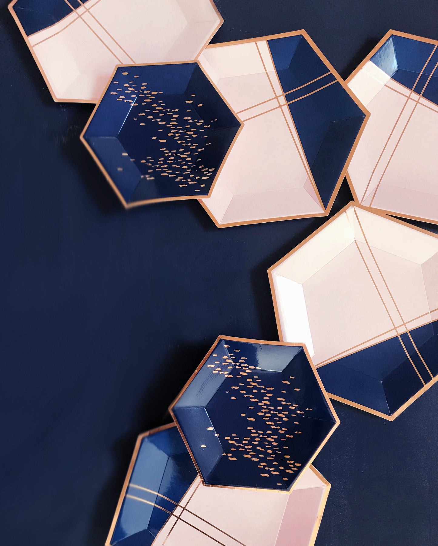 Blush Pink & Navy Large Party Plates