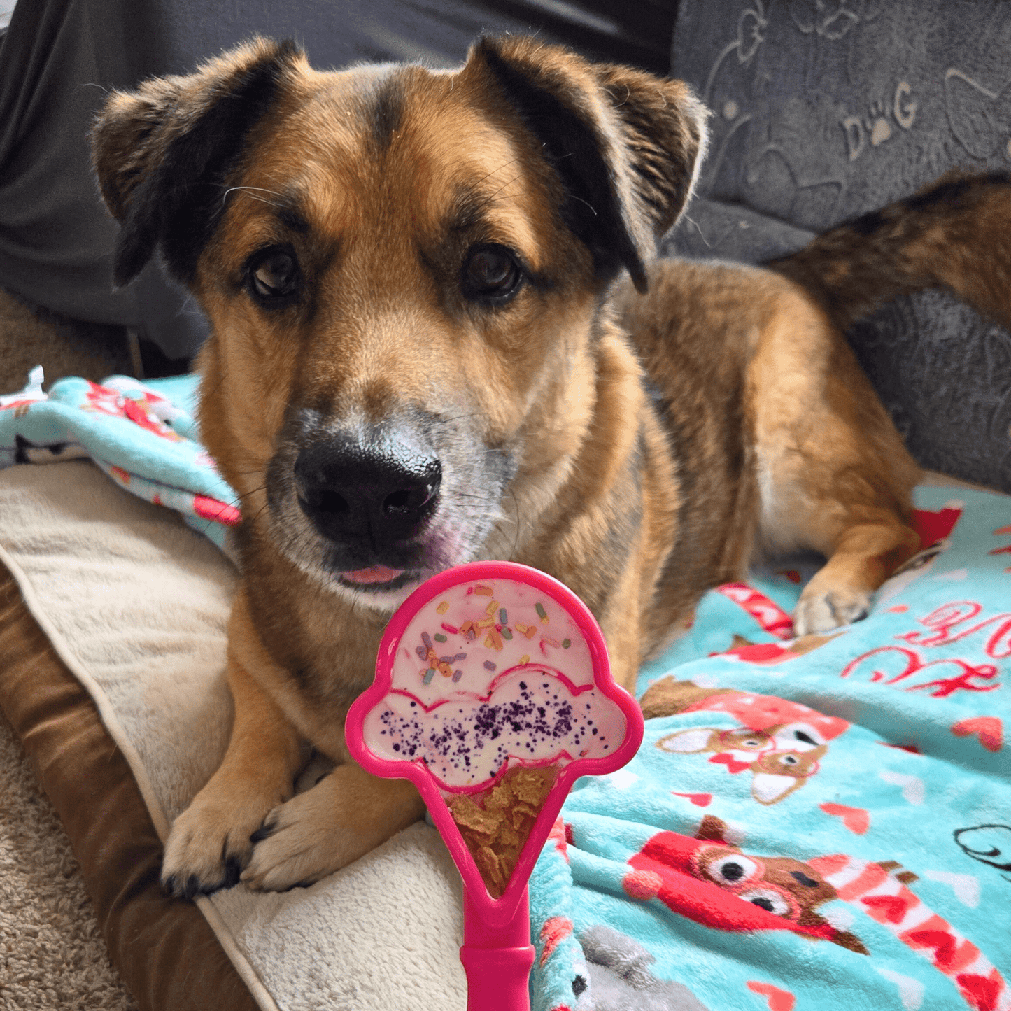 Lick Sticks | Interactive Dog Training Toy