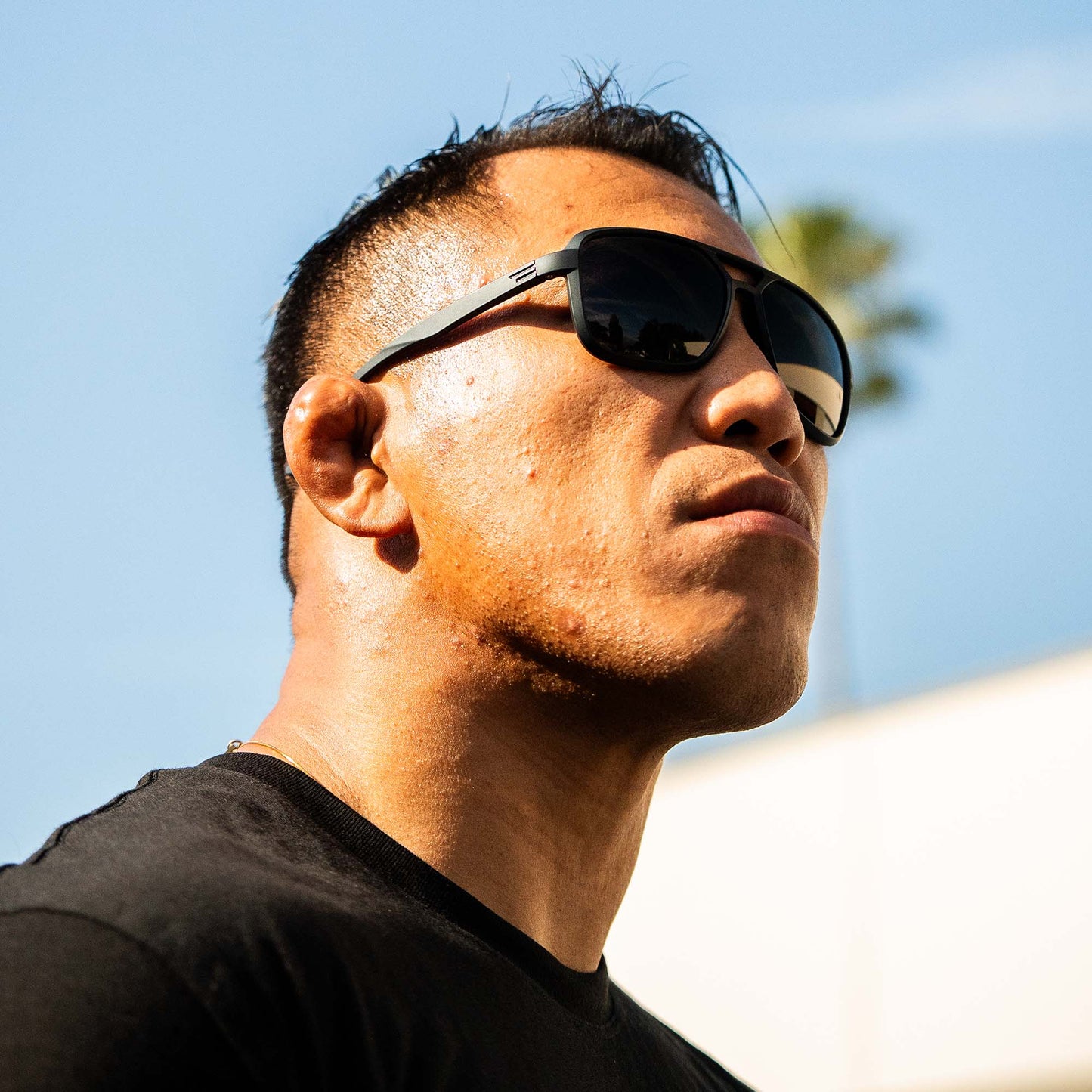 NASH Polarized