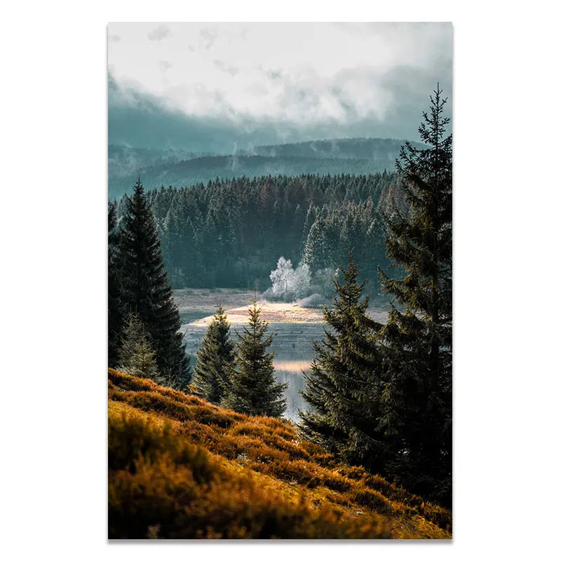 Forest Mountain Lake Famous Scenery Poster Nordic Style Canvas Print Nature Landscape Art Painting Wall Picture Home Decoration