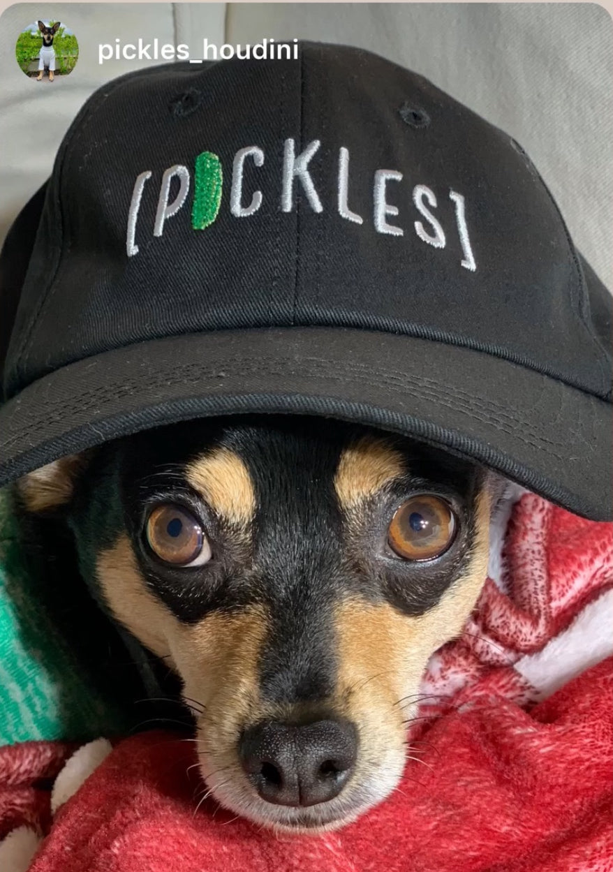 Pickle Cap Hat - Unique and Stylish Pickle Accessory