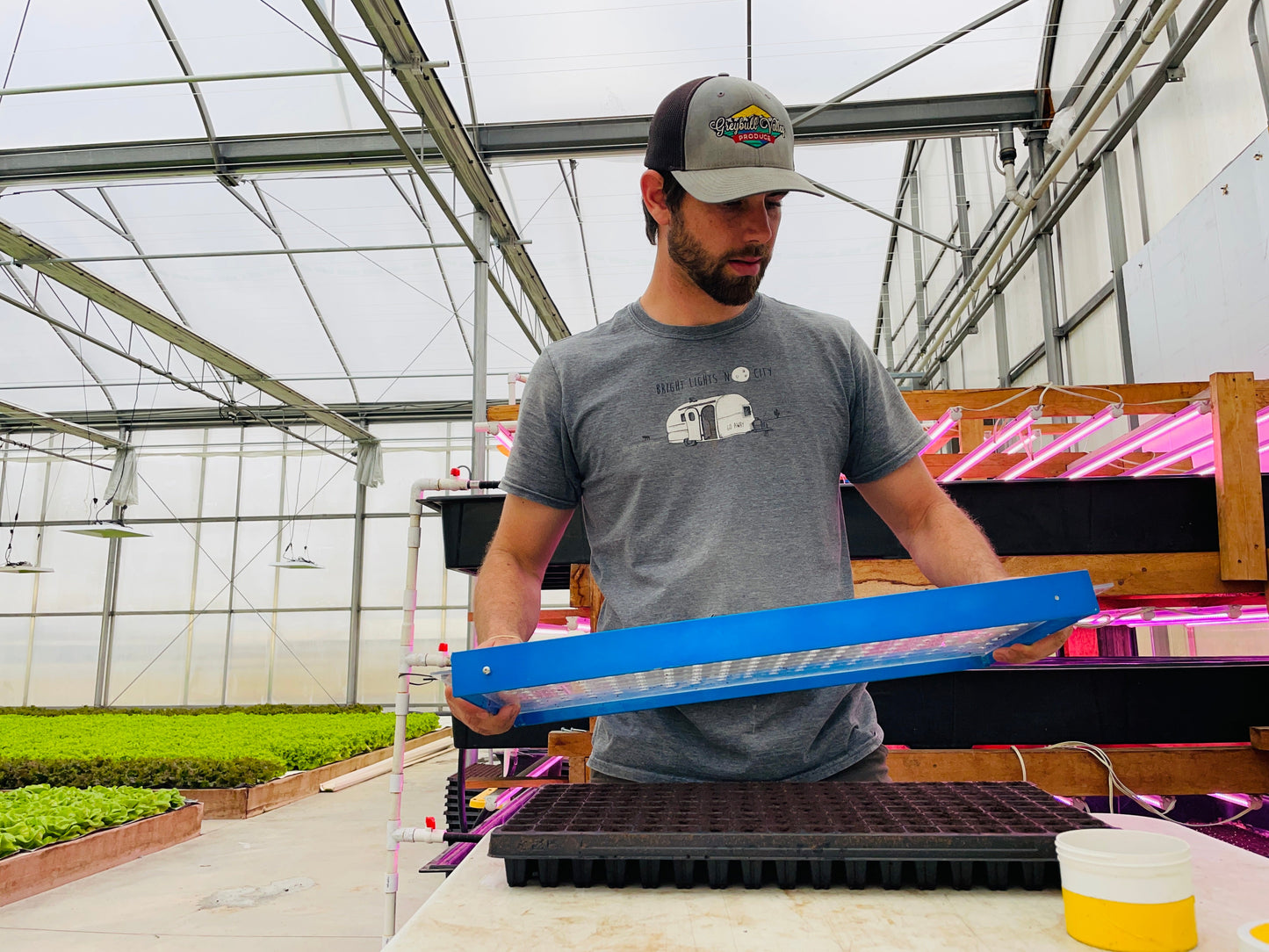 GreenEase Drop Seeder for Bootstrap Farmer Trays