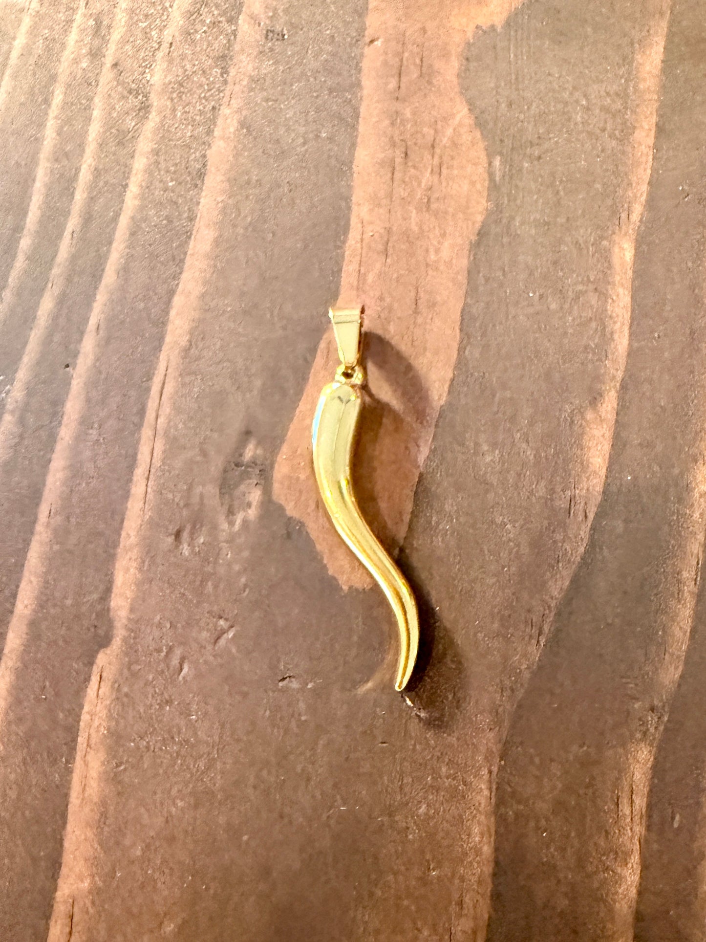jumbo Italian horn necklace
