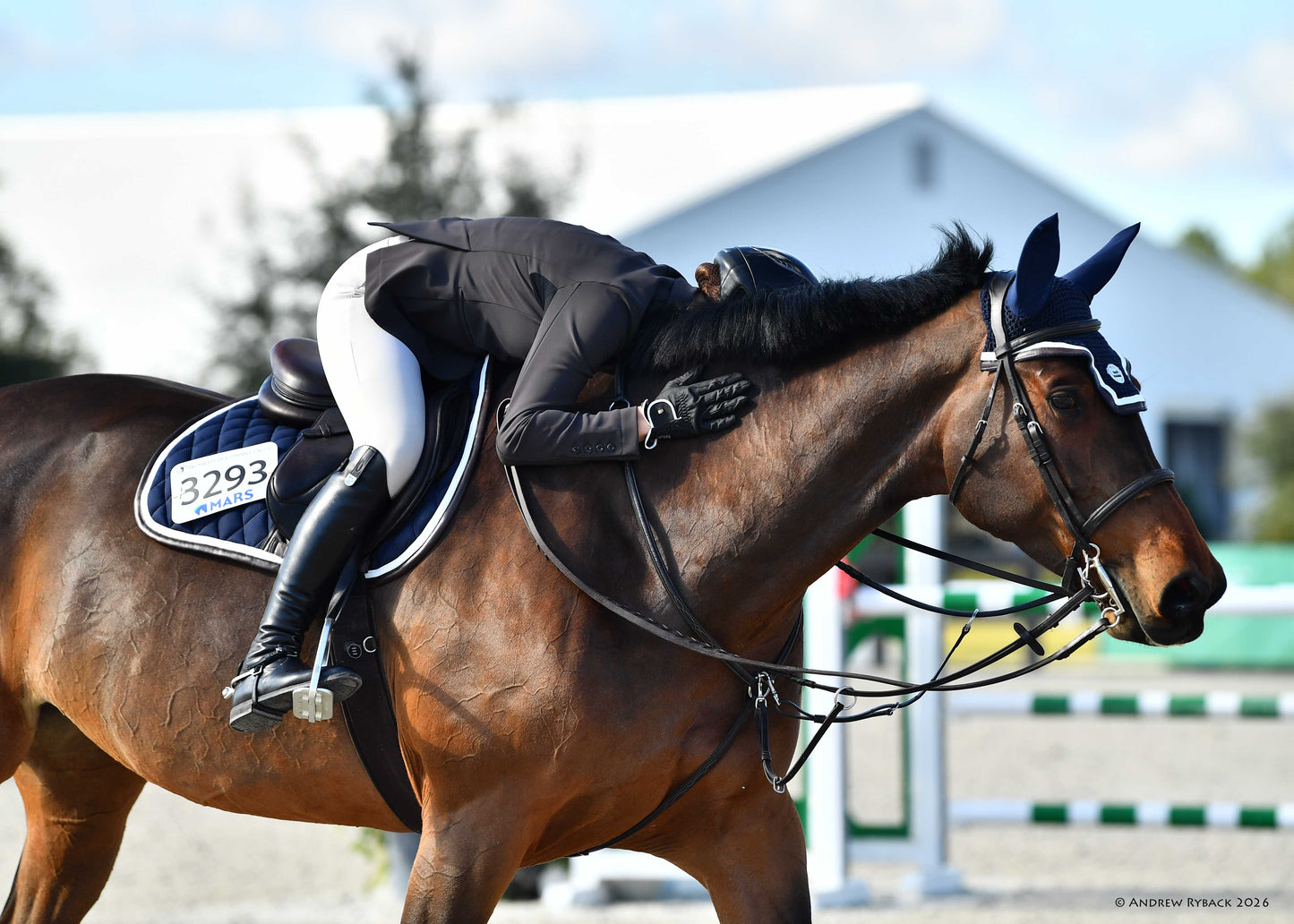 Jump Saddle Pad | Navy