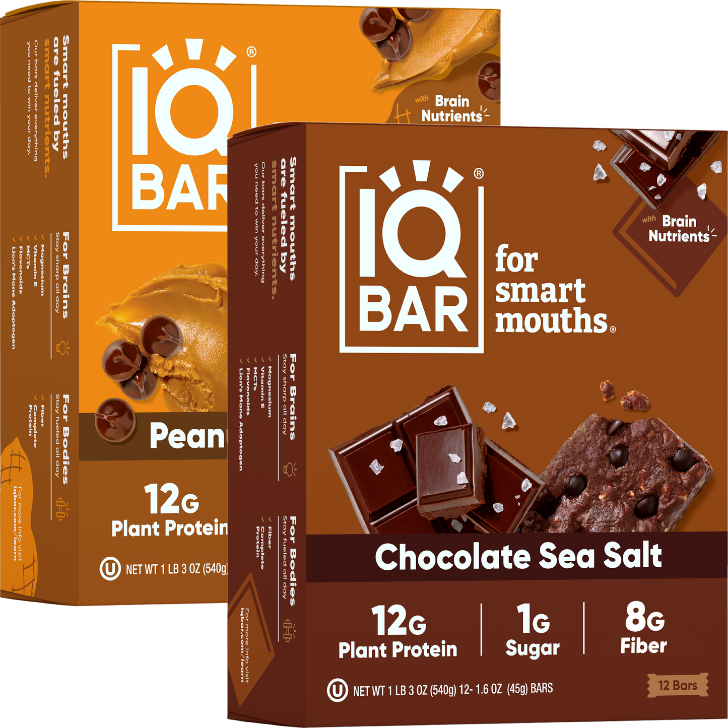 Chocolate Sea Salt & Peanut Butter Chip (24 Bars)