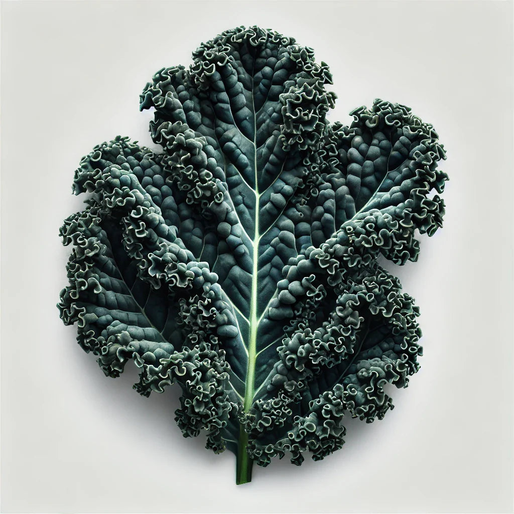 Kale (Mamba) (4x)