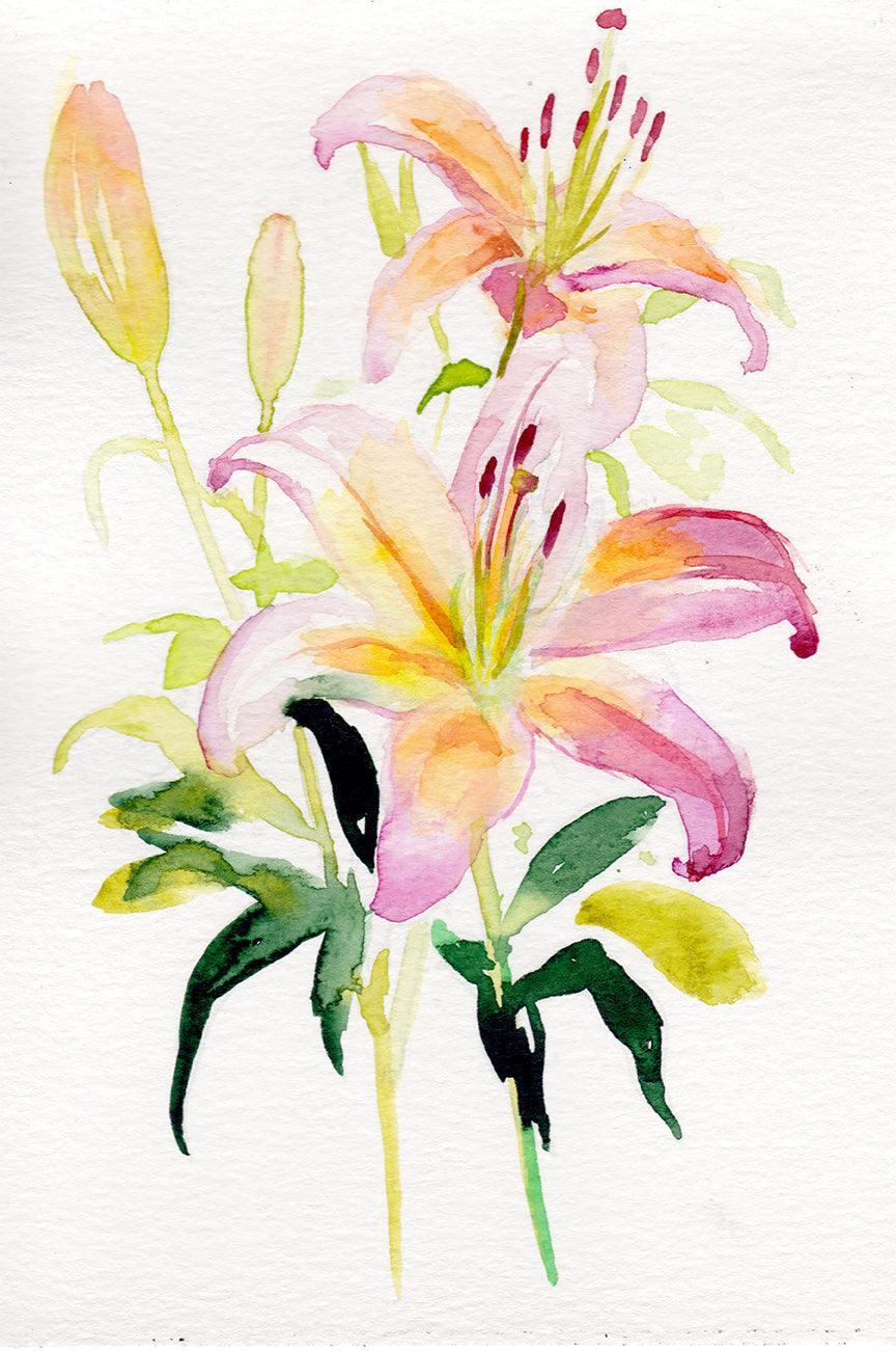 Lily – May Birth Flower Art Print