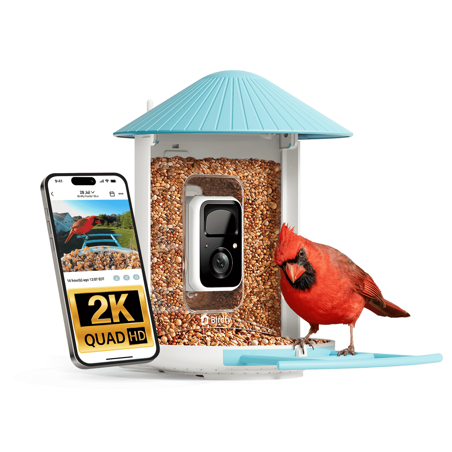 Birdfy Feeder - AI-Powered Smart Bird Feeder with Camera