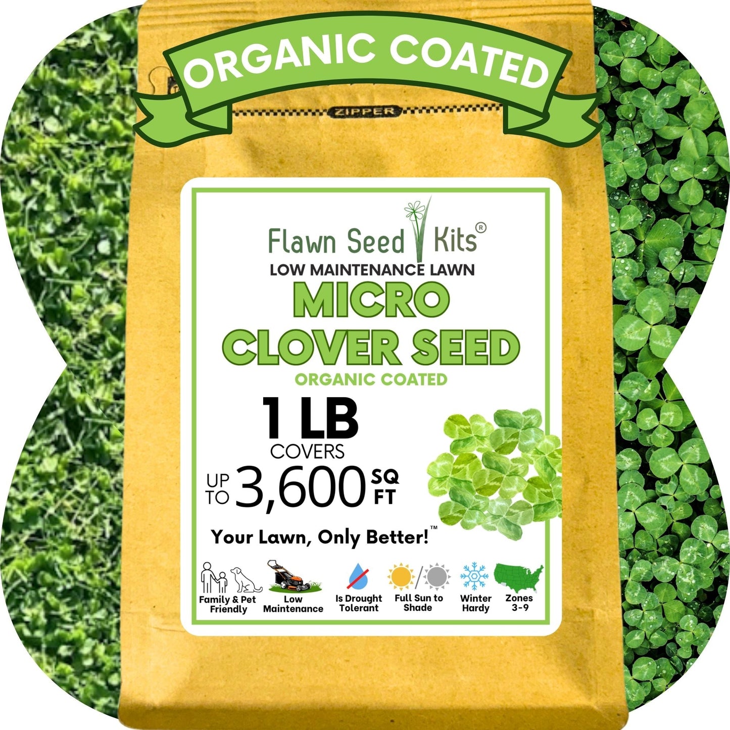 Micro Clover Seed