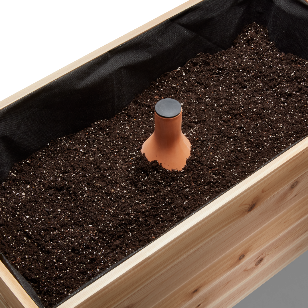 Self-Watering Clay Olla Pot