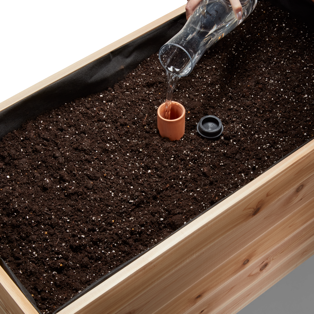 Self-Watering Clay Olla Pot