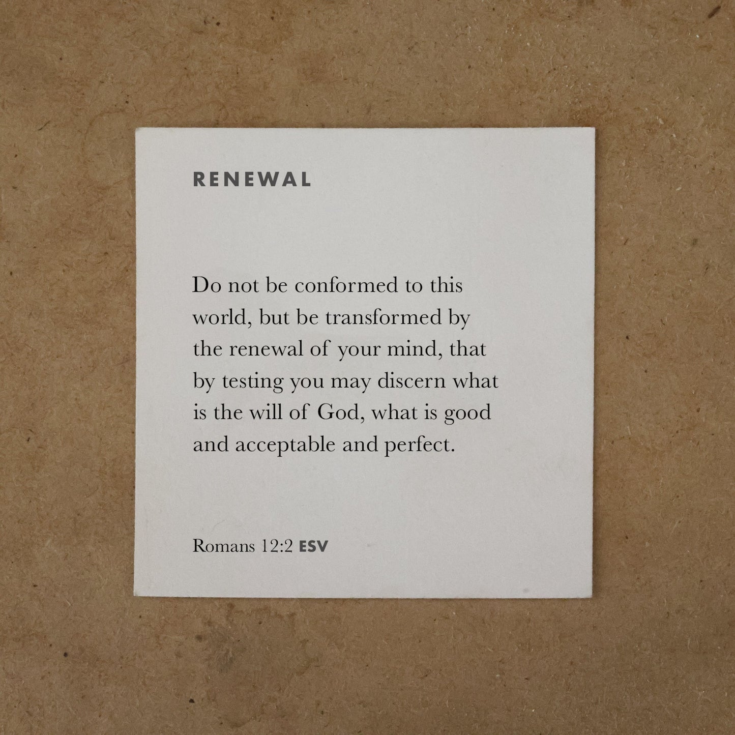 365 Bible Memory Cards