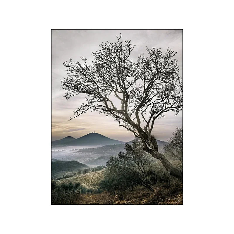 Nature Landscape Picture Wall Art Silk Painting Nordic Modern Scenery Art Home Decor Poster and Print for Living Room Design