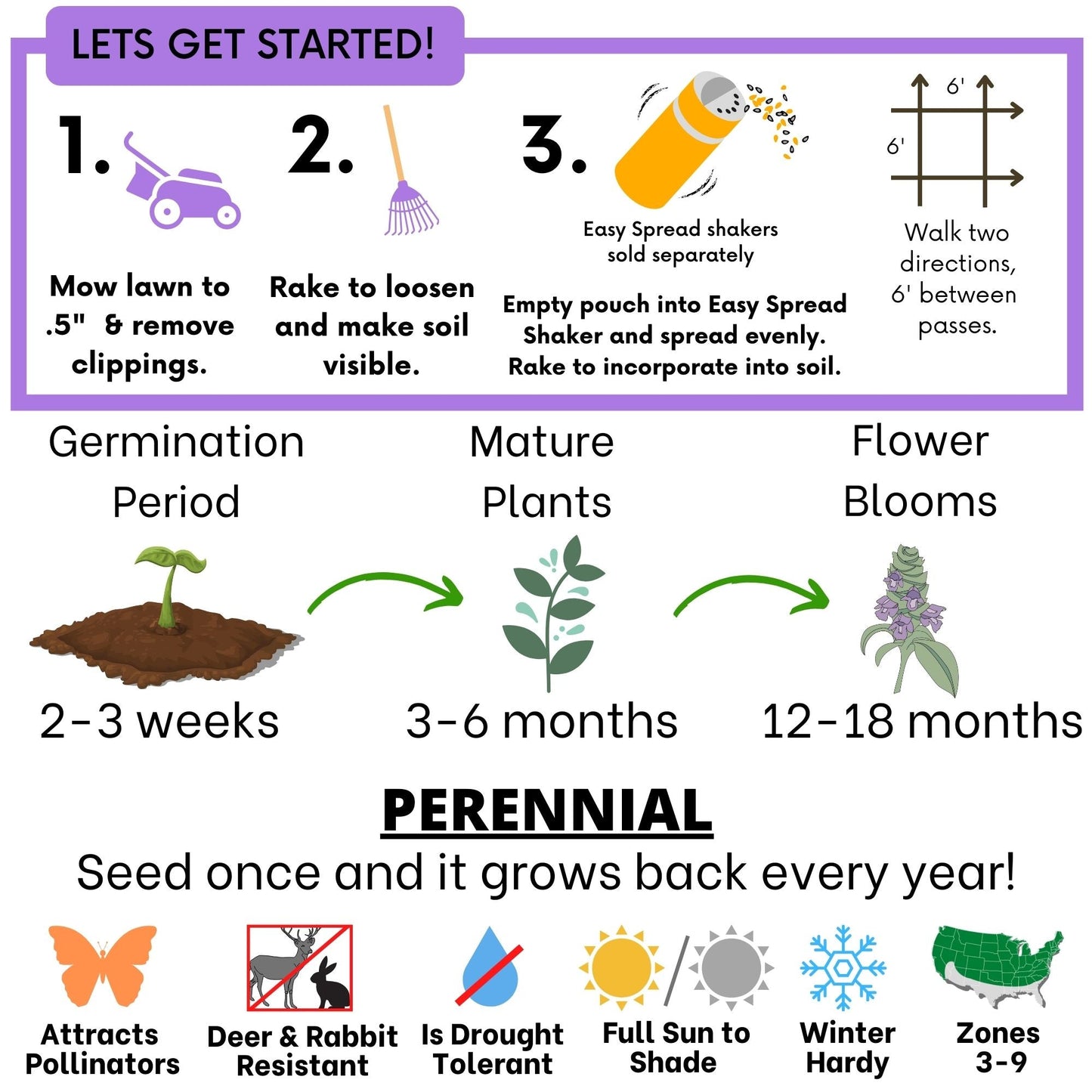 Self-Heal Seed Pouch