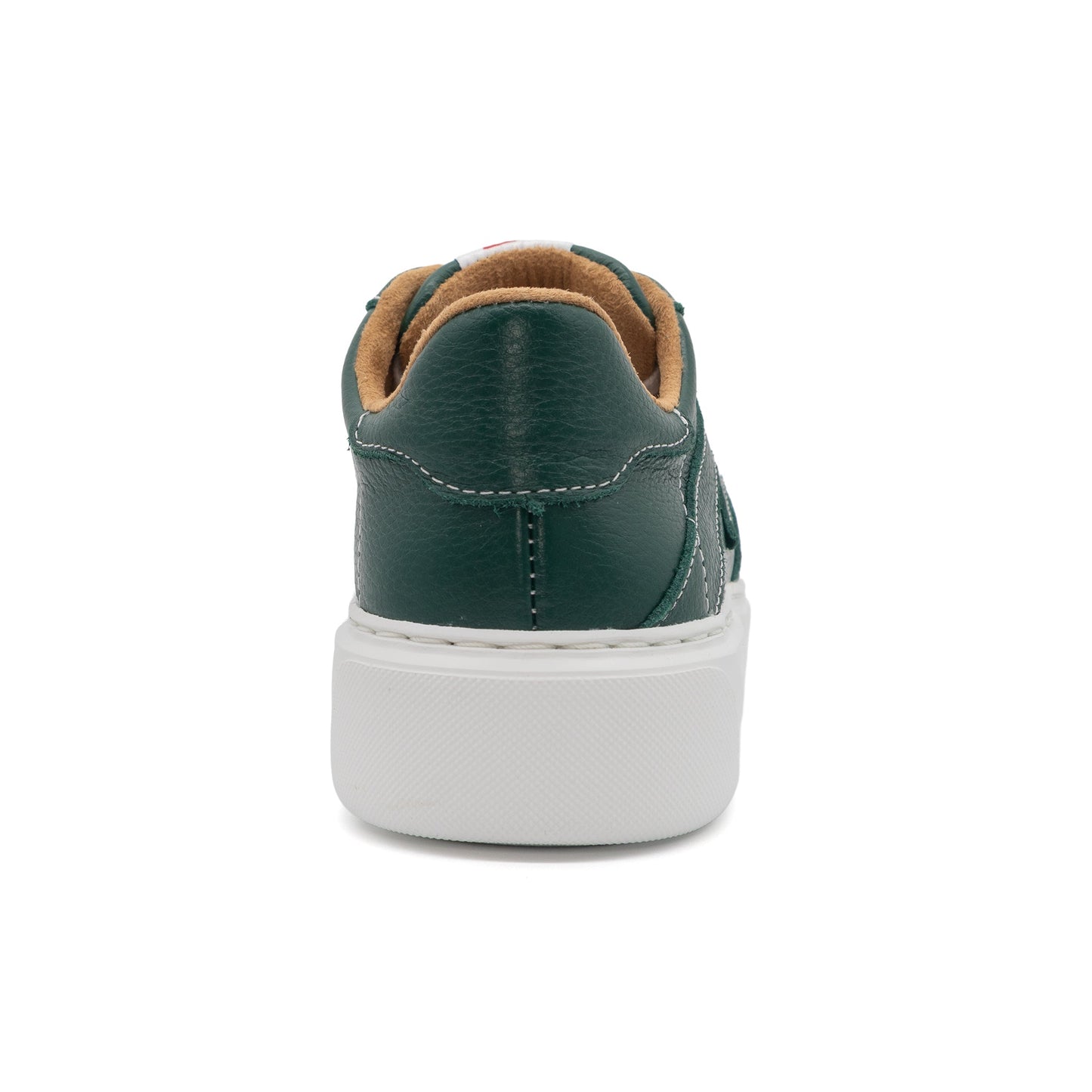 601 Solid | Forest