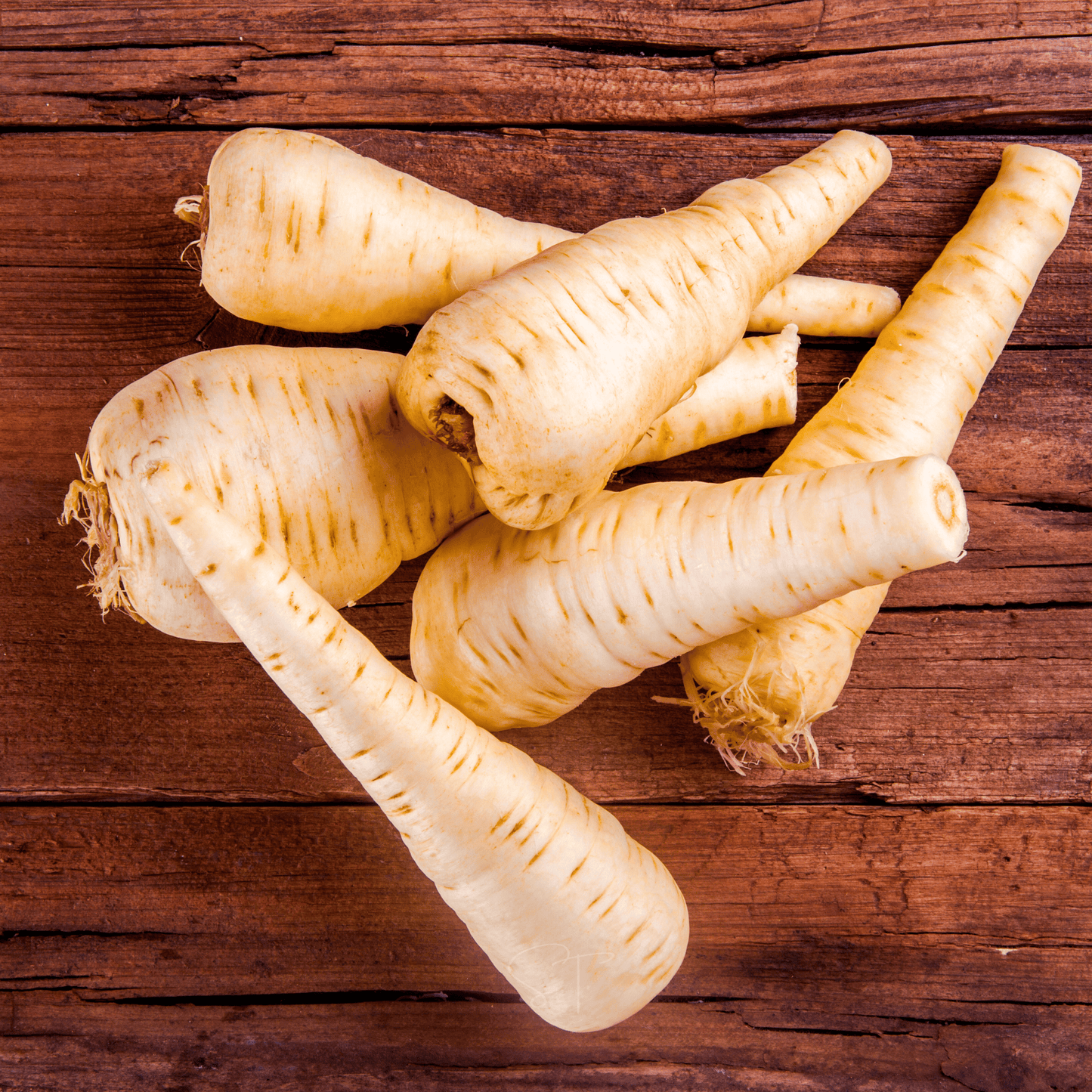 All American Parsnip ā 100 Seeds