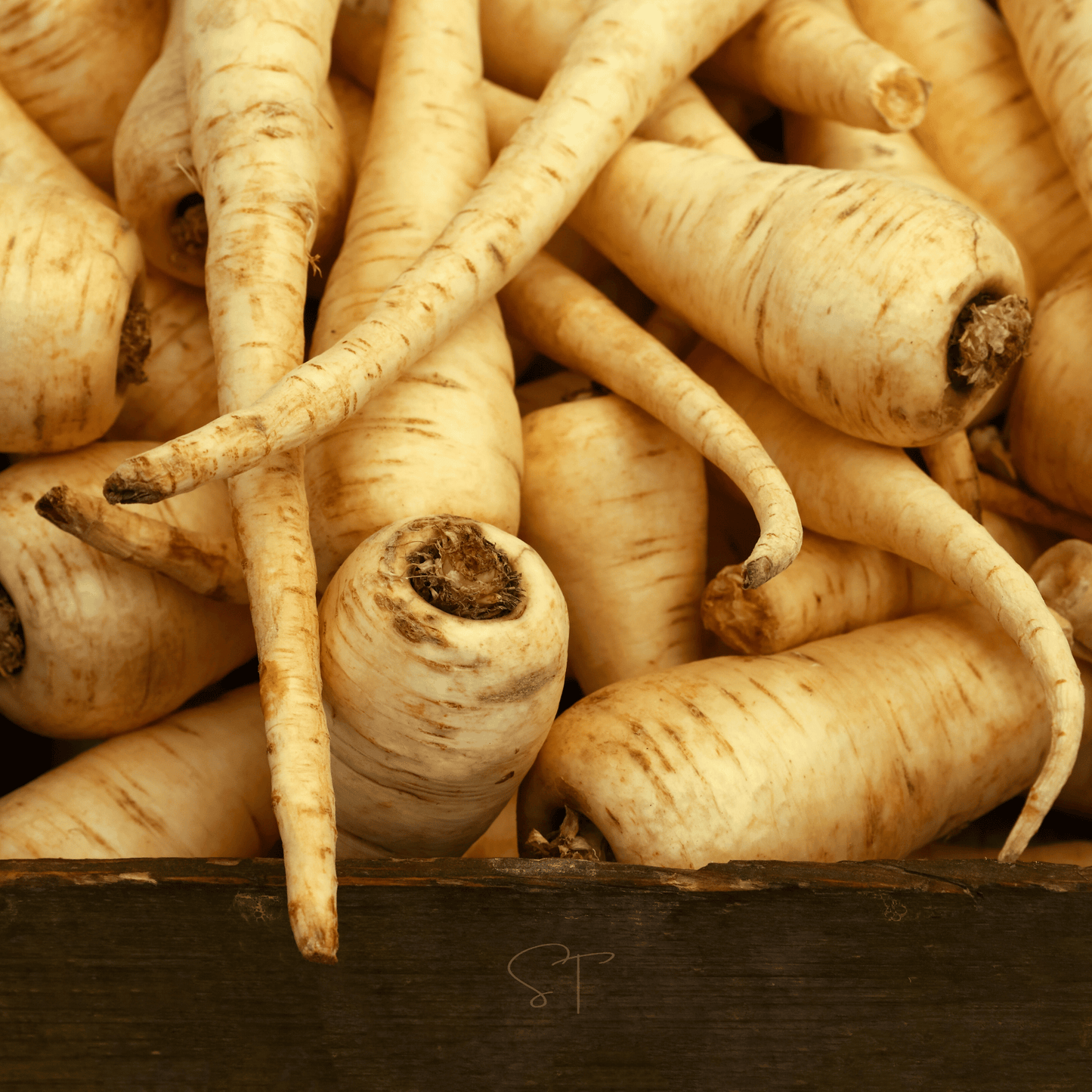 All American Parsnip ā 100 Seeds