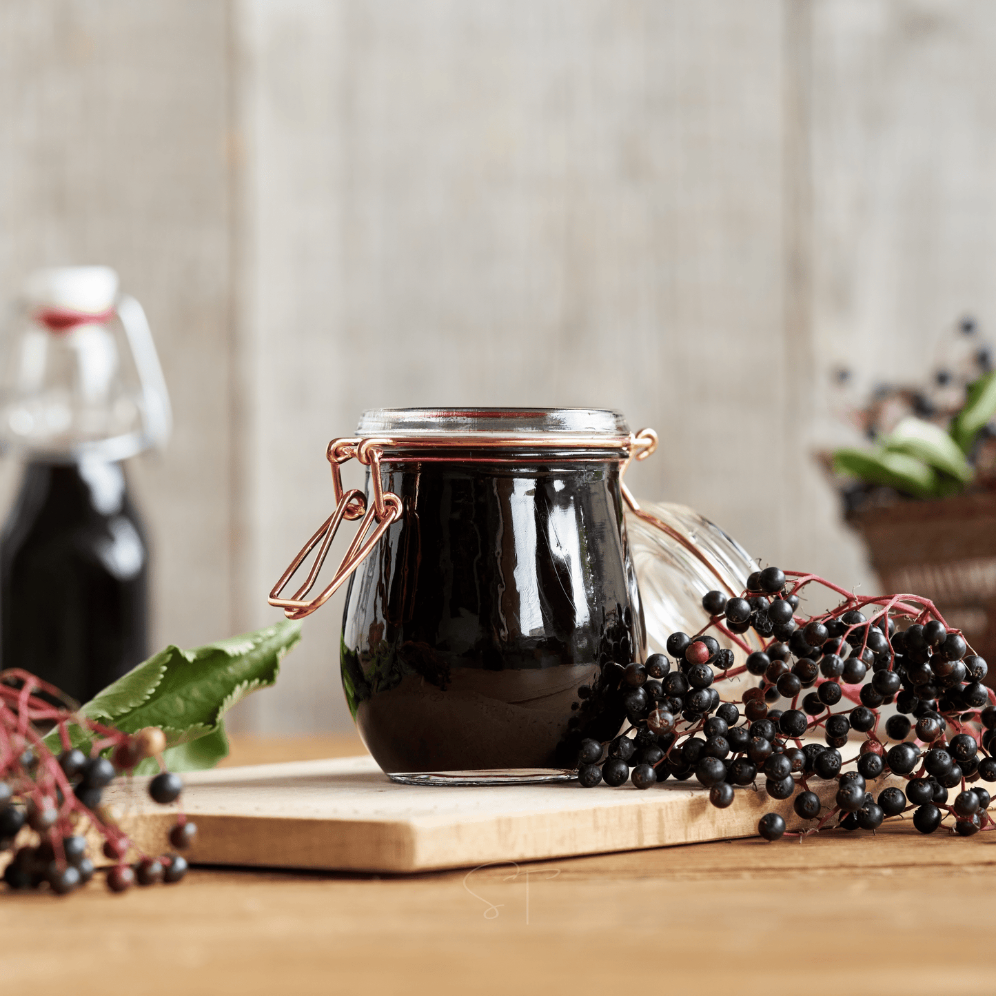 American Black Elderberry ā 50 Seeds