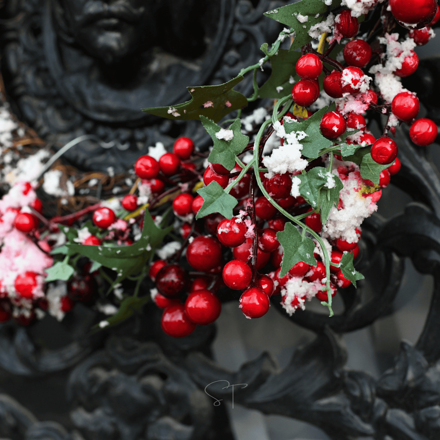 American Holly ā 50 Seeds