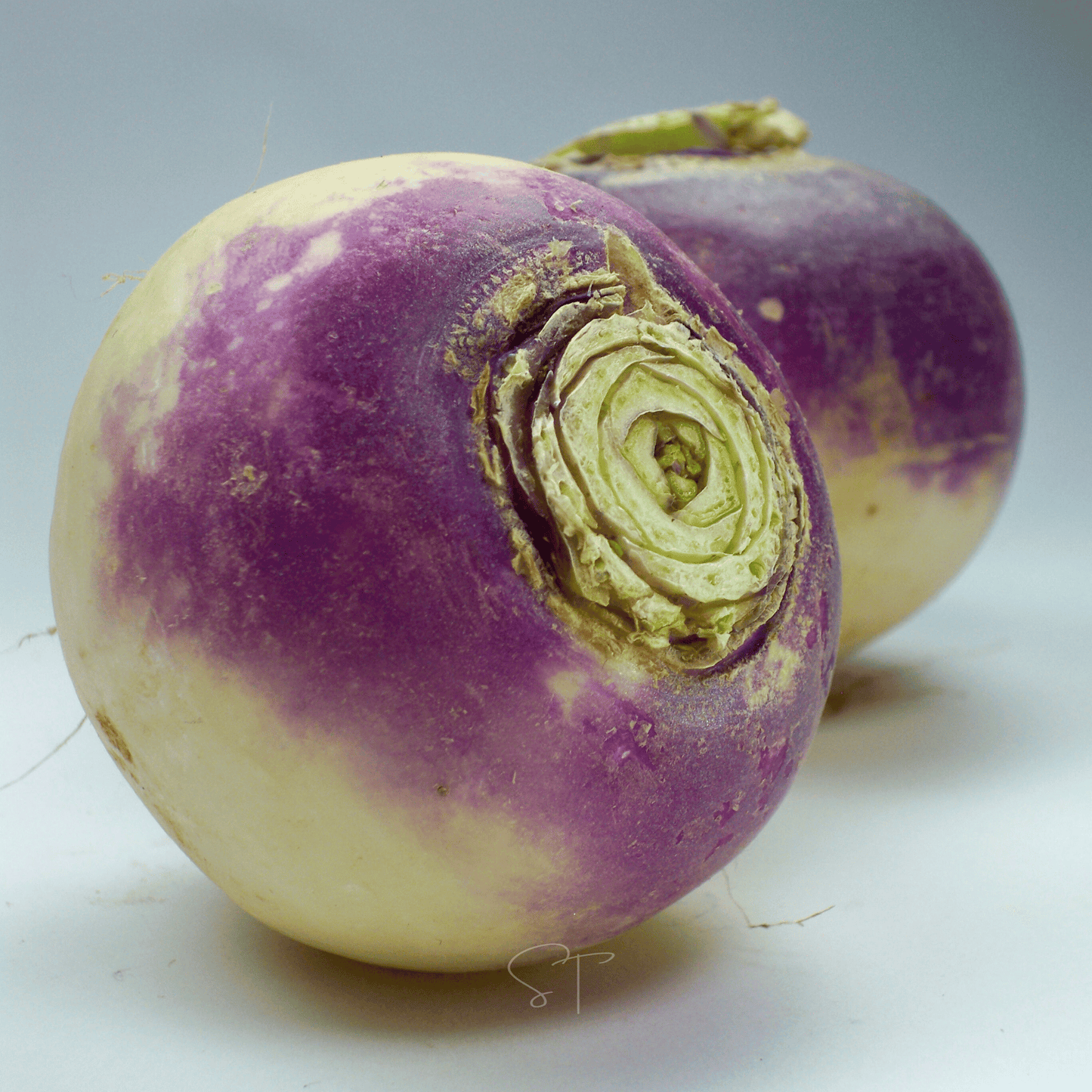 American Purple Top Rutabaga ā 200 Seeds