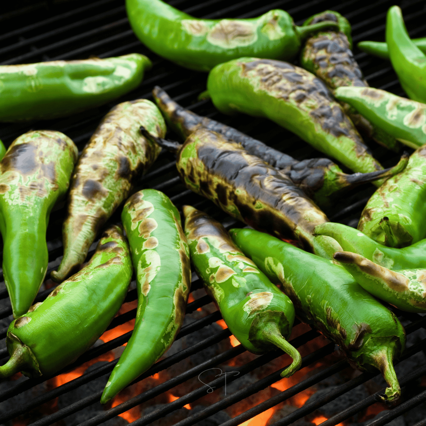 Anaheim Chili Pepper ā 25 Seeds