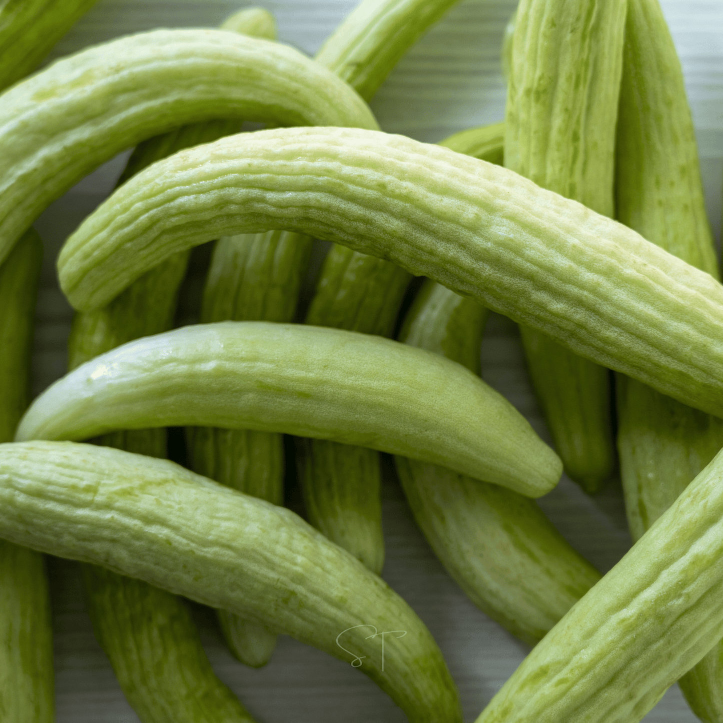 Armenian Yard-Long Cucumber ā 30 Seeds