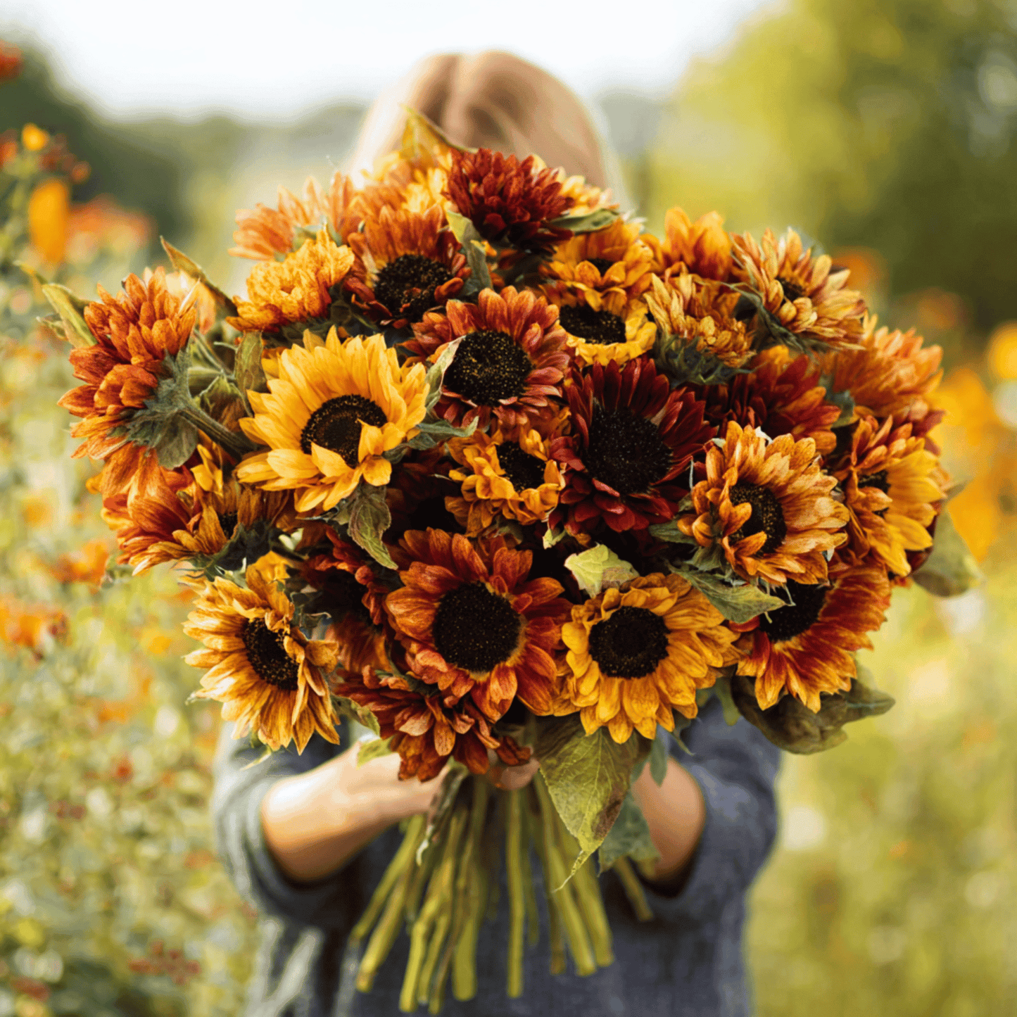 Autumn Beauty Sunflower ā 25 Seeds