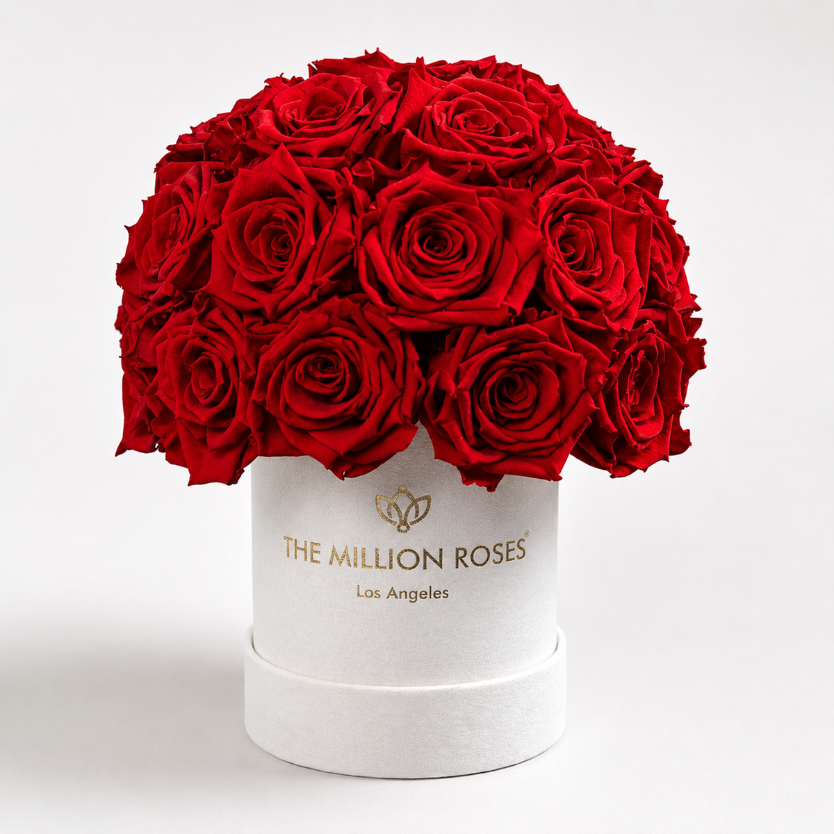 Essence Beige Suede Superdome Box | Red Roses