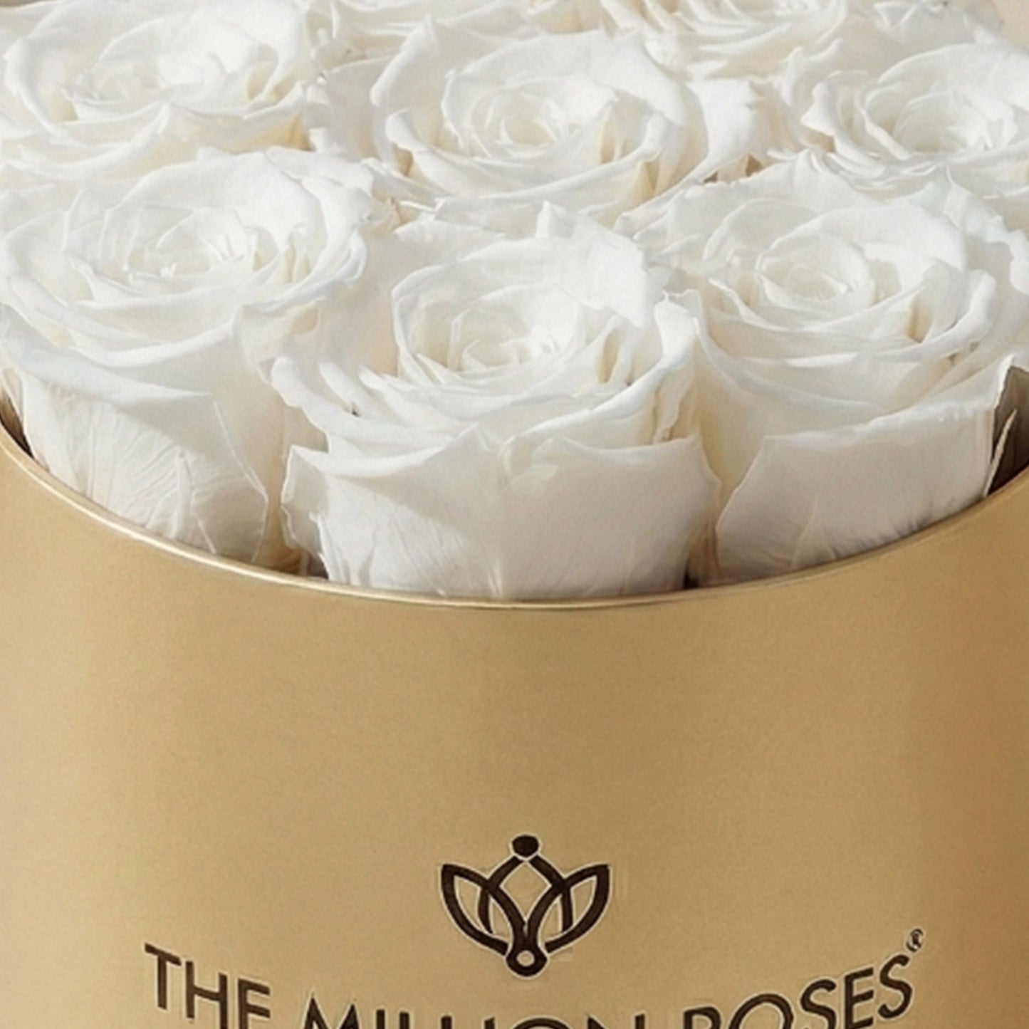 Essence Gold Box | White Roses
