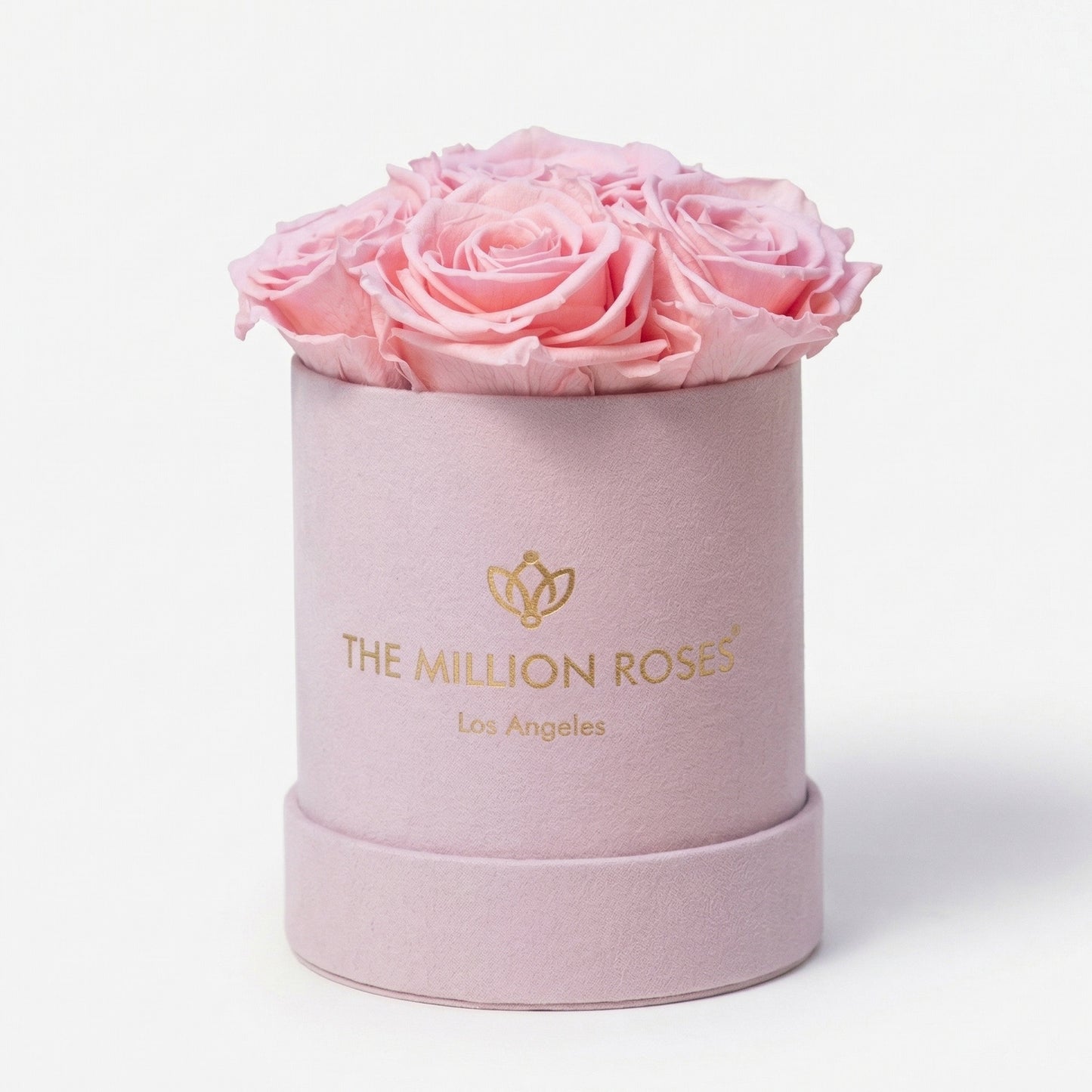Essence Light Pink Suede Box | Light Pink Roses