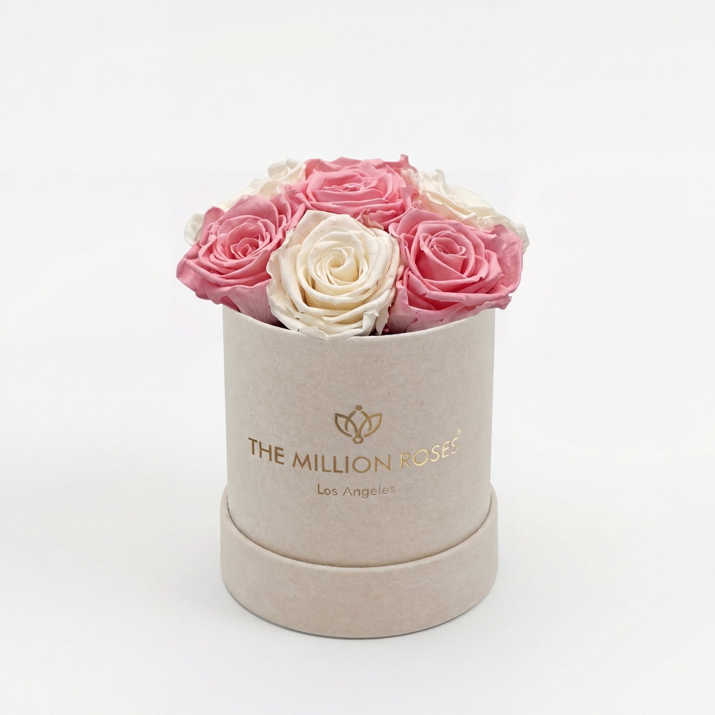 Essence Beige Suede Box | Light Pink & White Roses