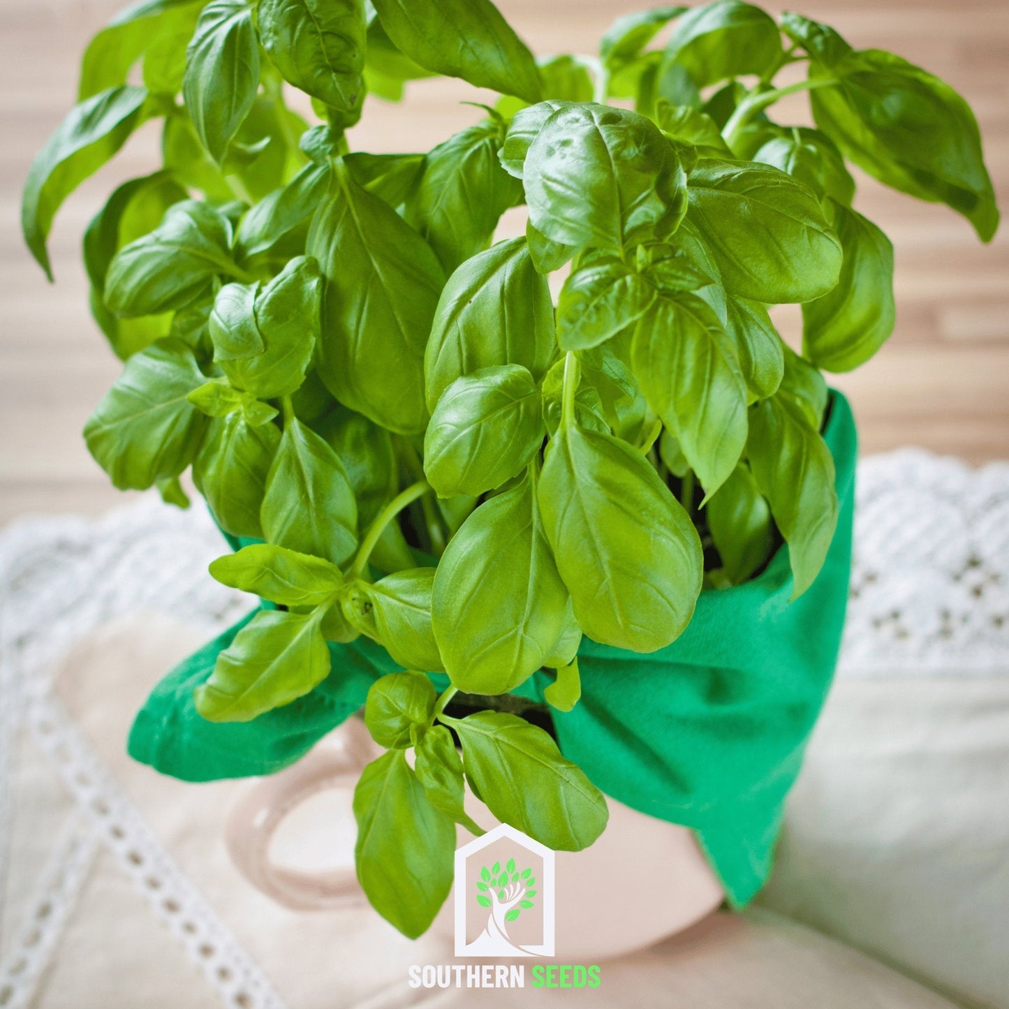Sweet Basil ā 250 Seeds