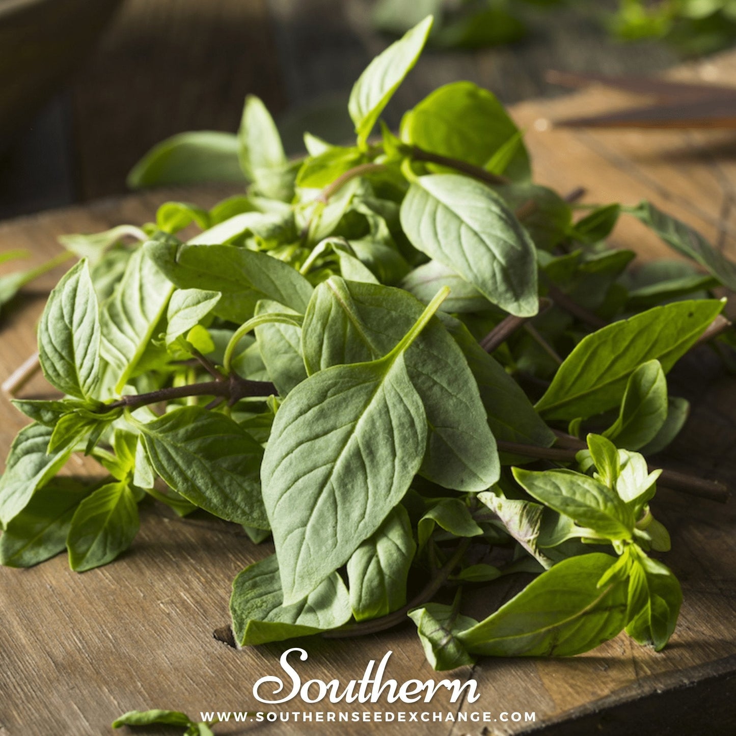 Thai Siam Queen Basil ā 250 Seeds